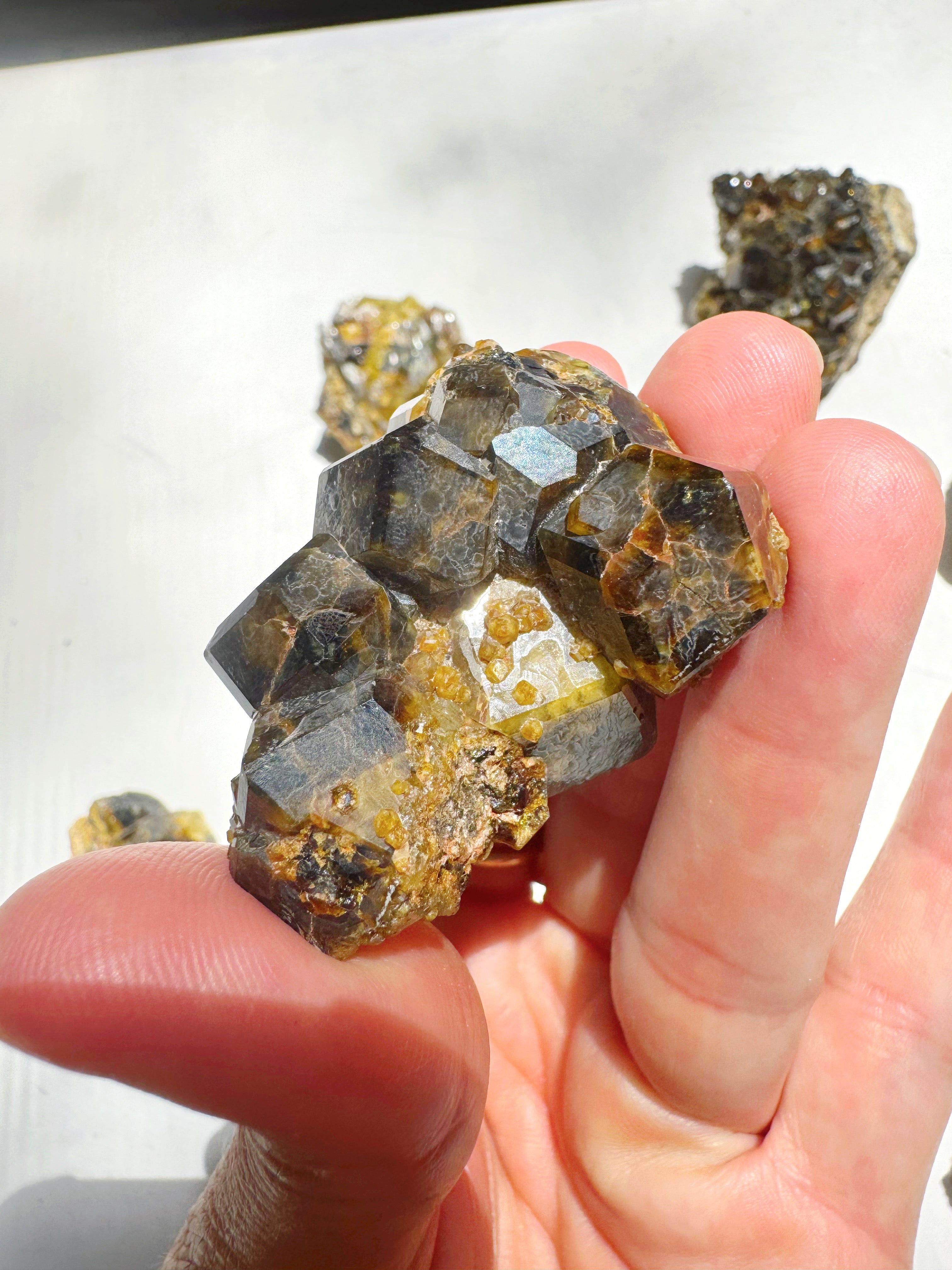 Rare Mali Green Grossular Andradite Garnet AAA Quality Baltic Mermaid