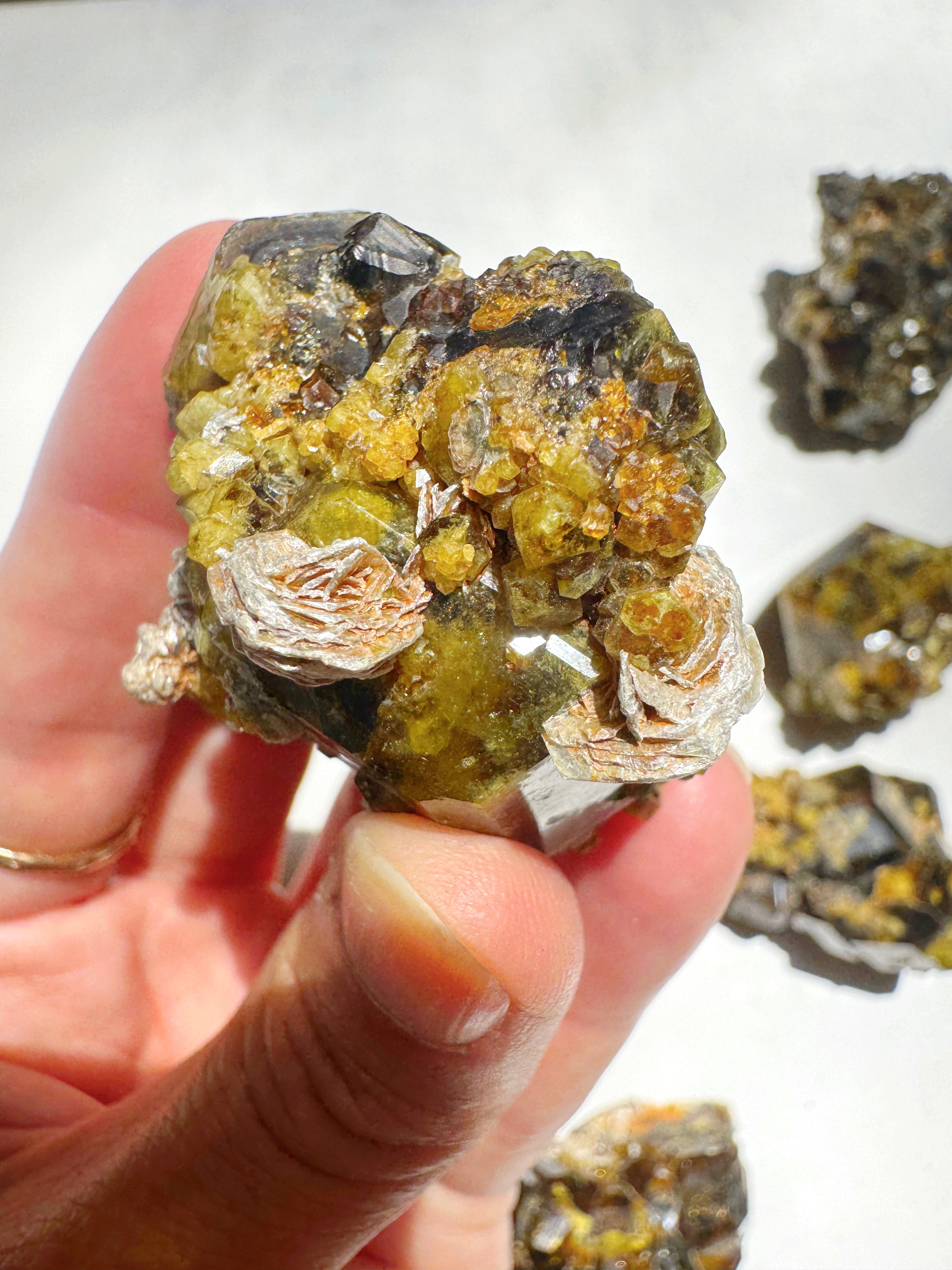 Rare Mali Green Grossular Andradite Garnet w/ Clinochlore AAA Quality Baltic Mermaid