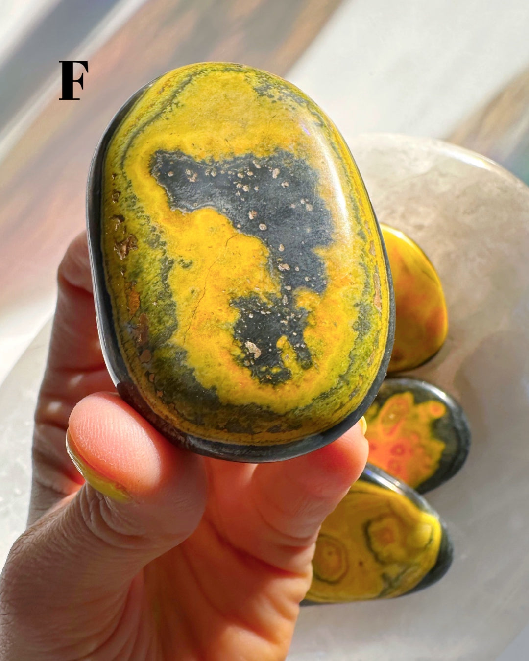 Bumblebee Jasper Palm Stones - Baltic Mermaid