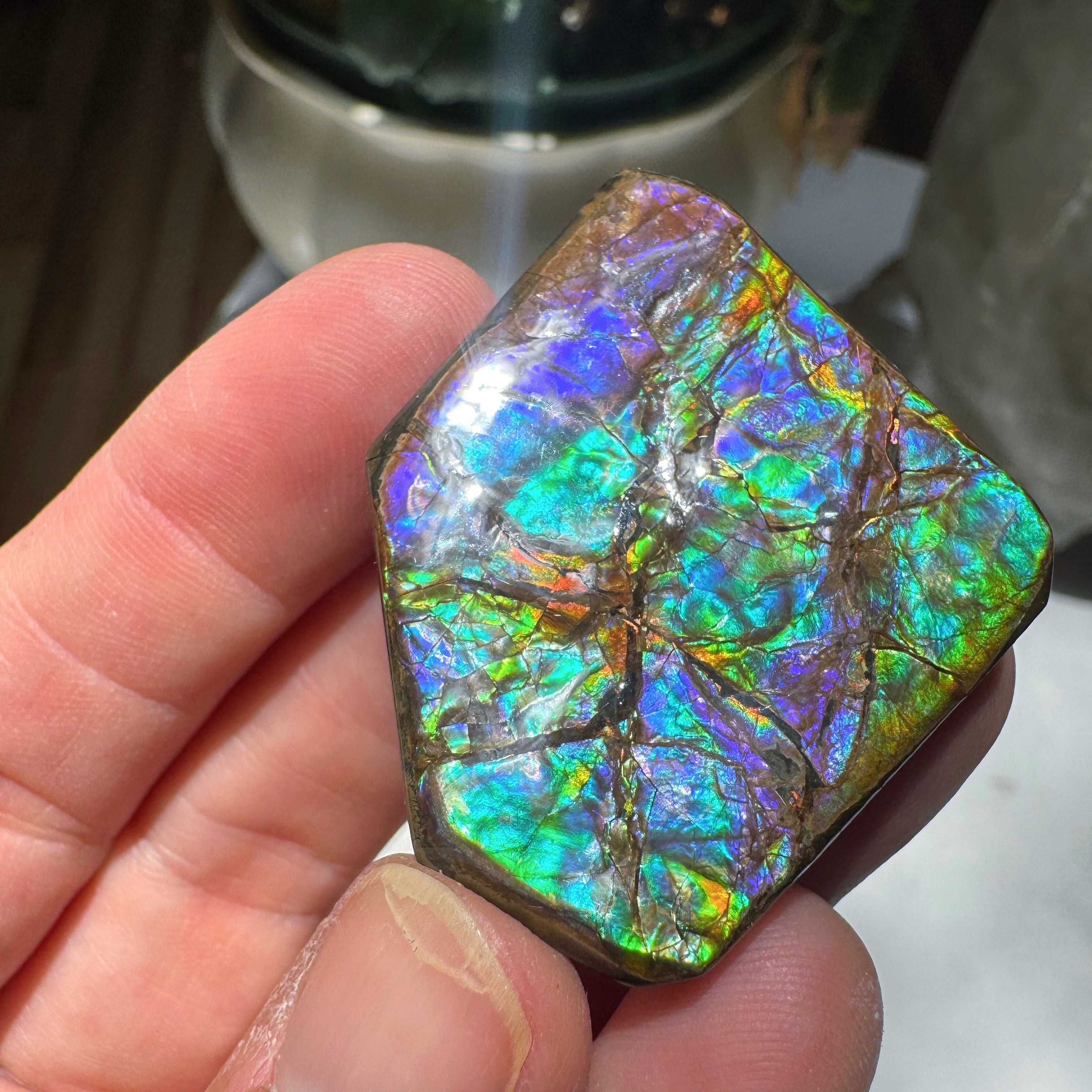 Ammolite Gemstone Hand Specimen Baltic Mermaid