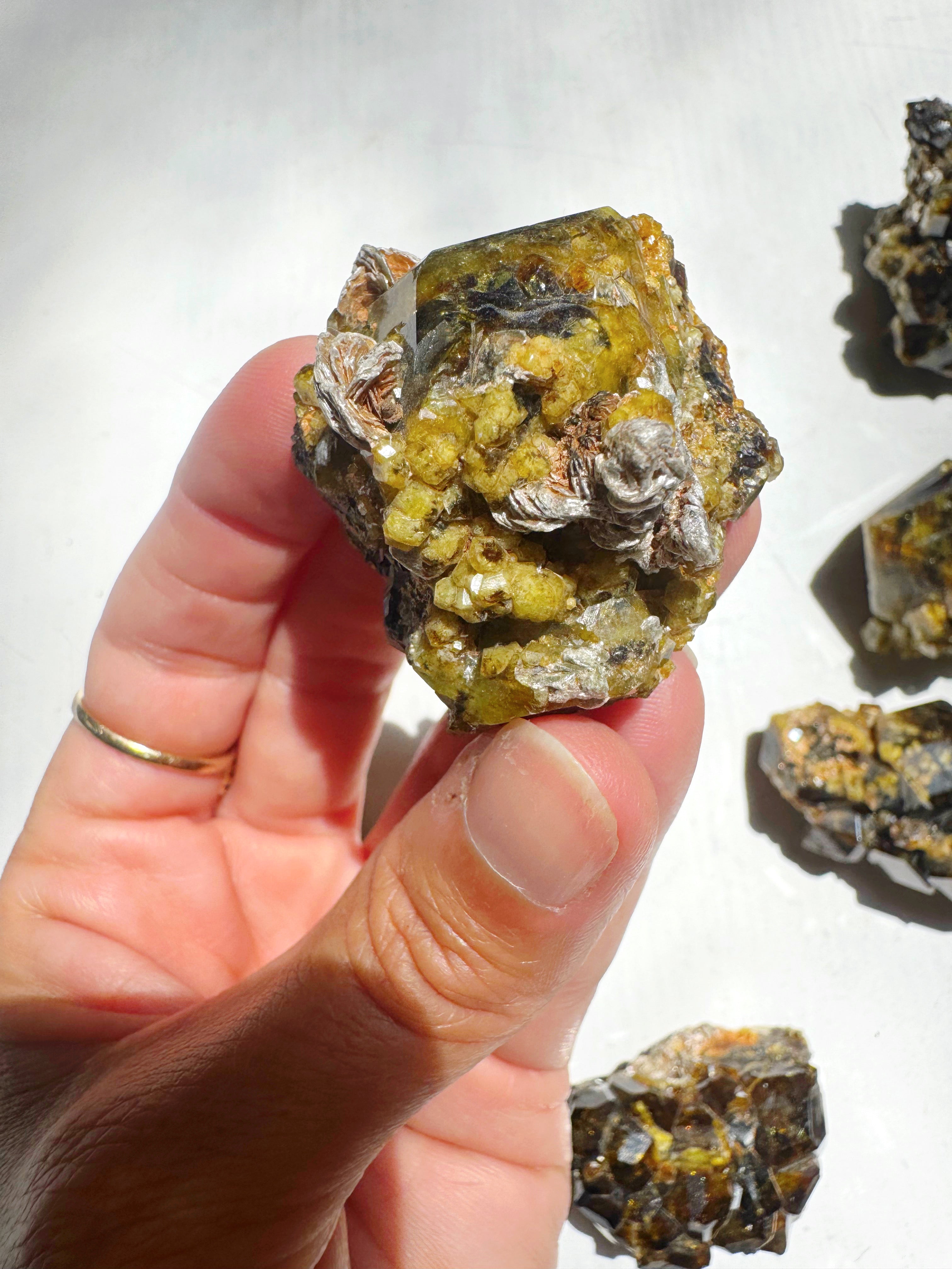 Rare Mali Green Grossular Andradite Garnet w/ Clinochlore AAA Quality Baltic Mermaid