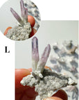 Mini Veracruz Amethyst Clusters - Baltic Mermaid