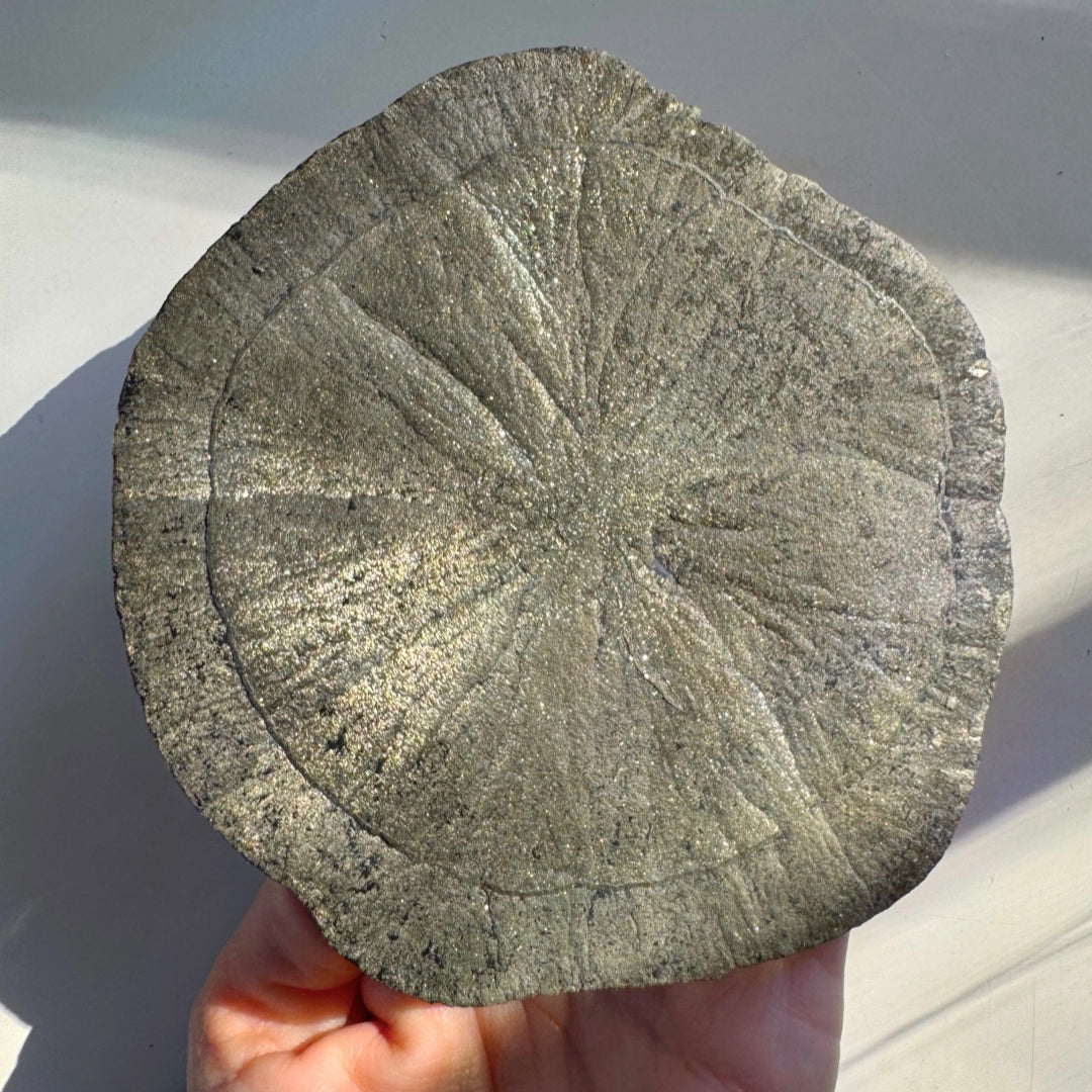 Pyrite Sun - Baltic Mermaid