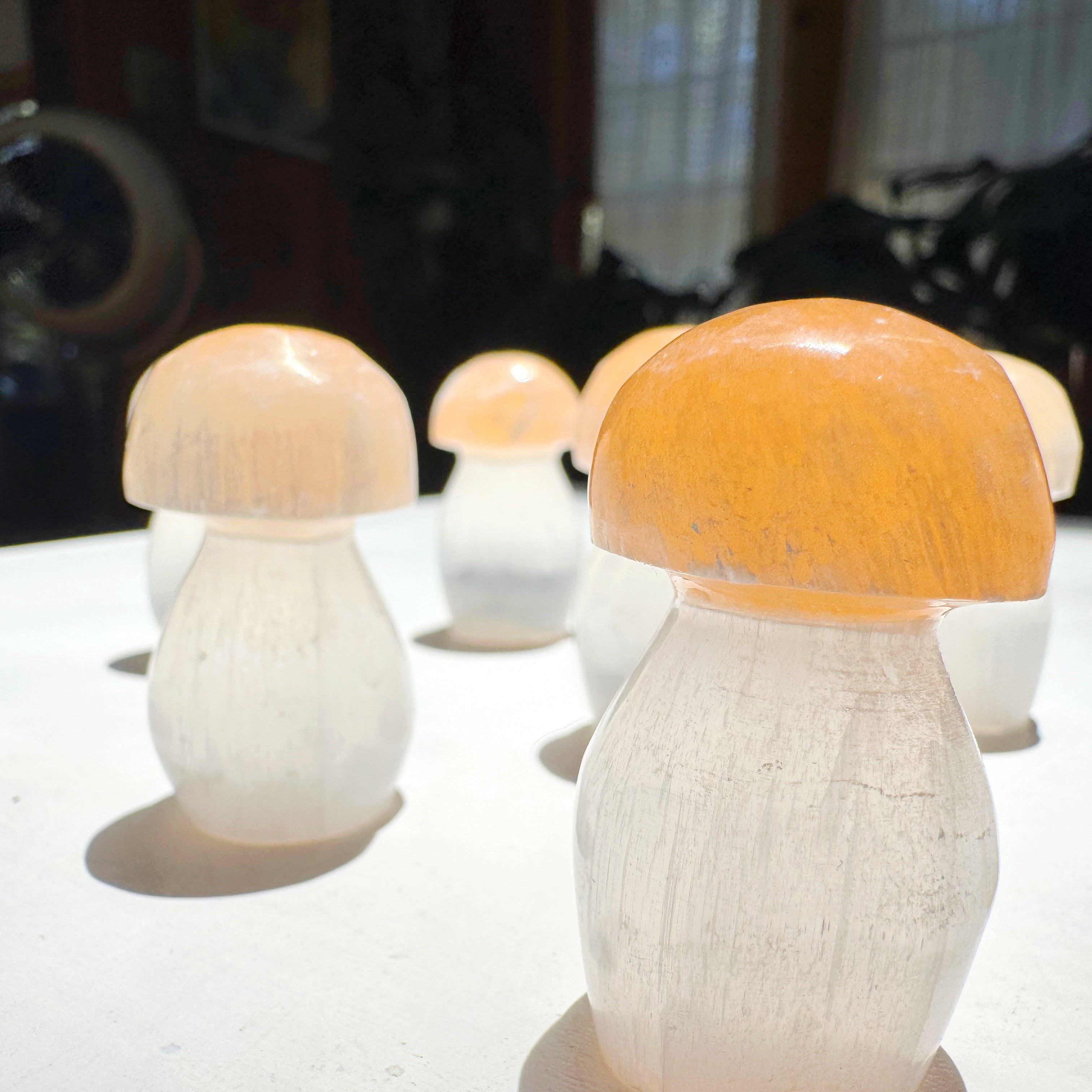 Lil’ Selenite Mushrooms Baltic Mermaid