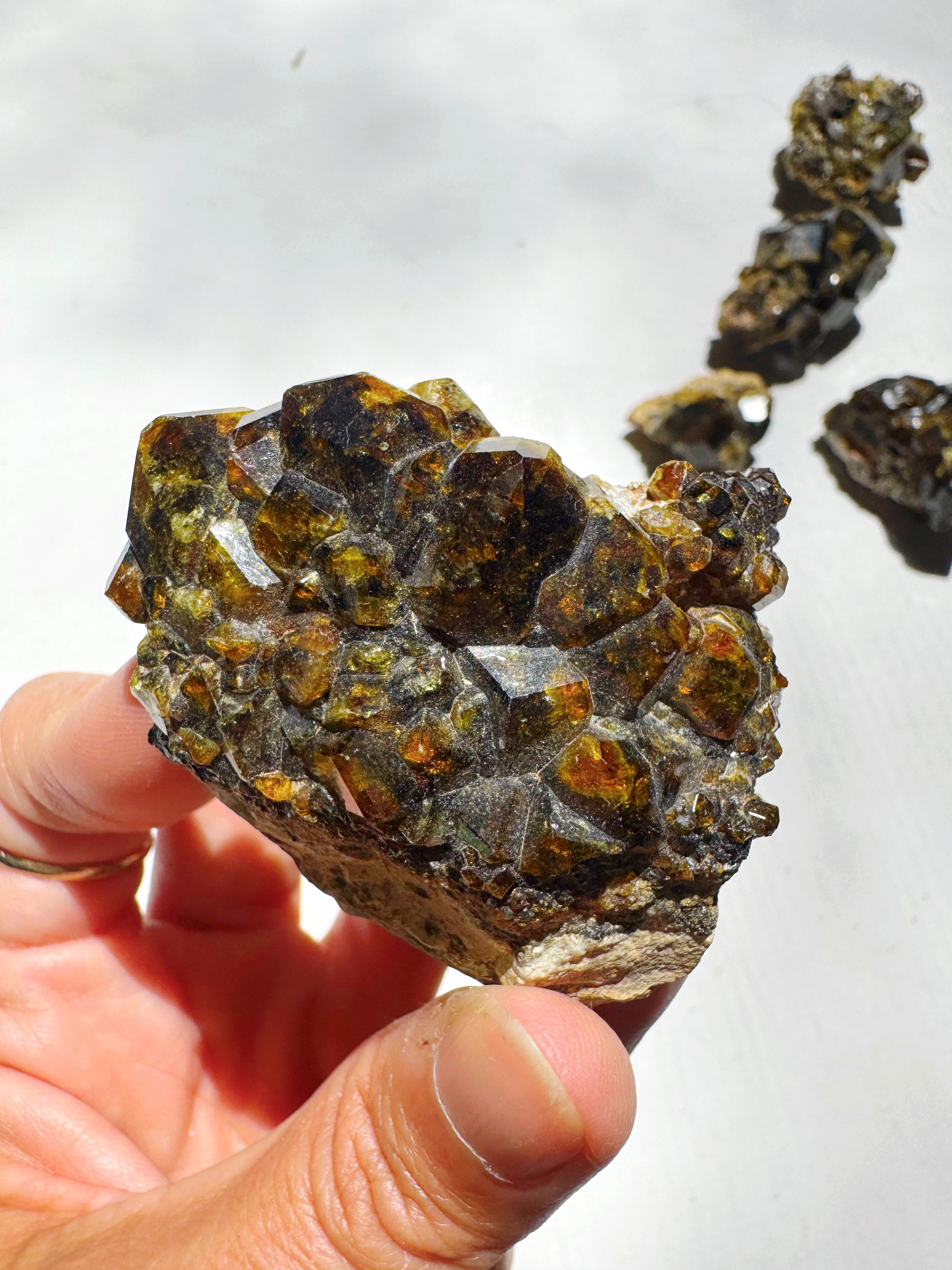 Rare Mali Green Grossular Andradite Garnet w/ Clinochlore AAA Quality Baltic Mermaid