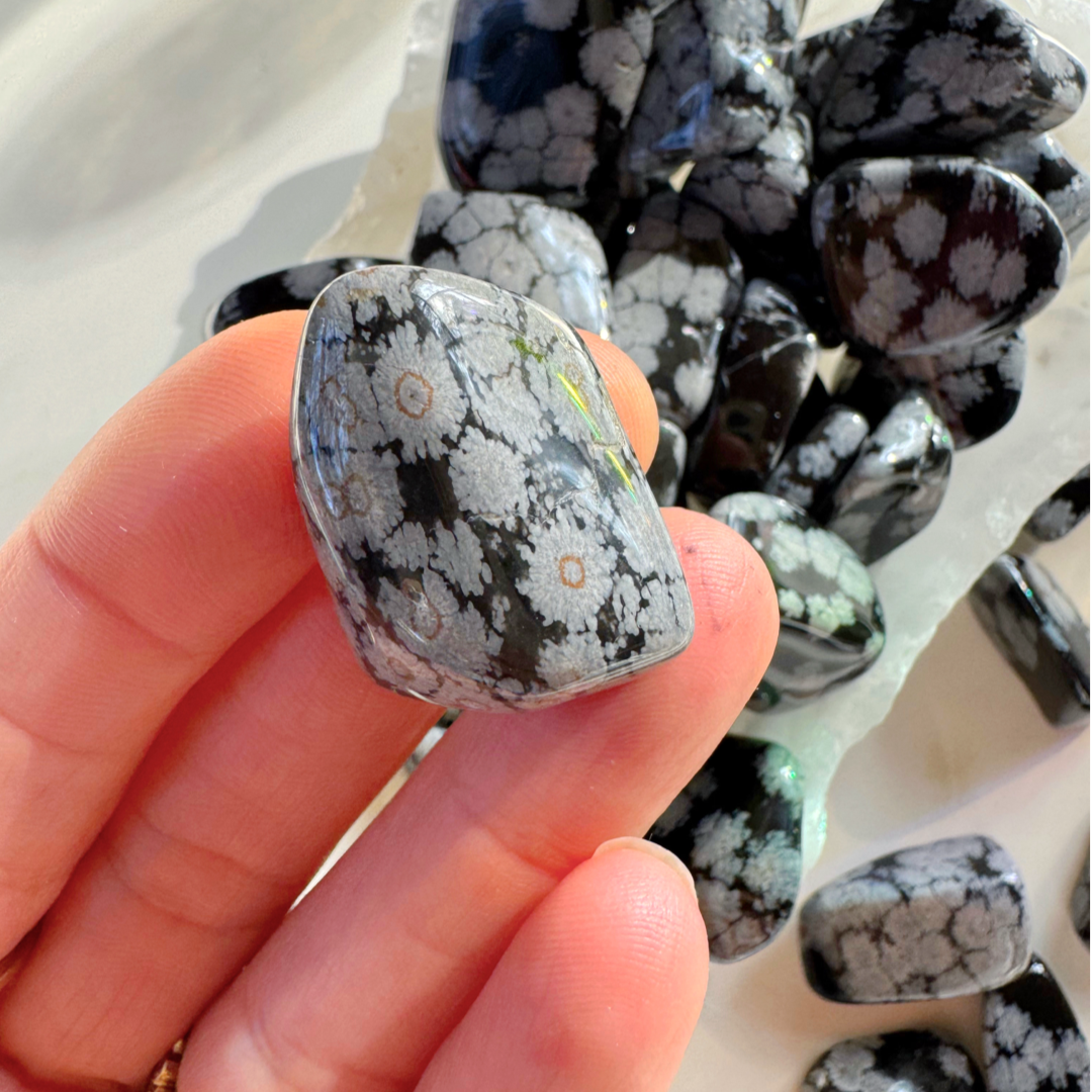 Snowflake Obsidian Tumbled Stones - Baltic Mermaid