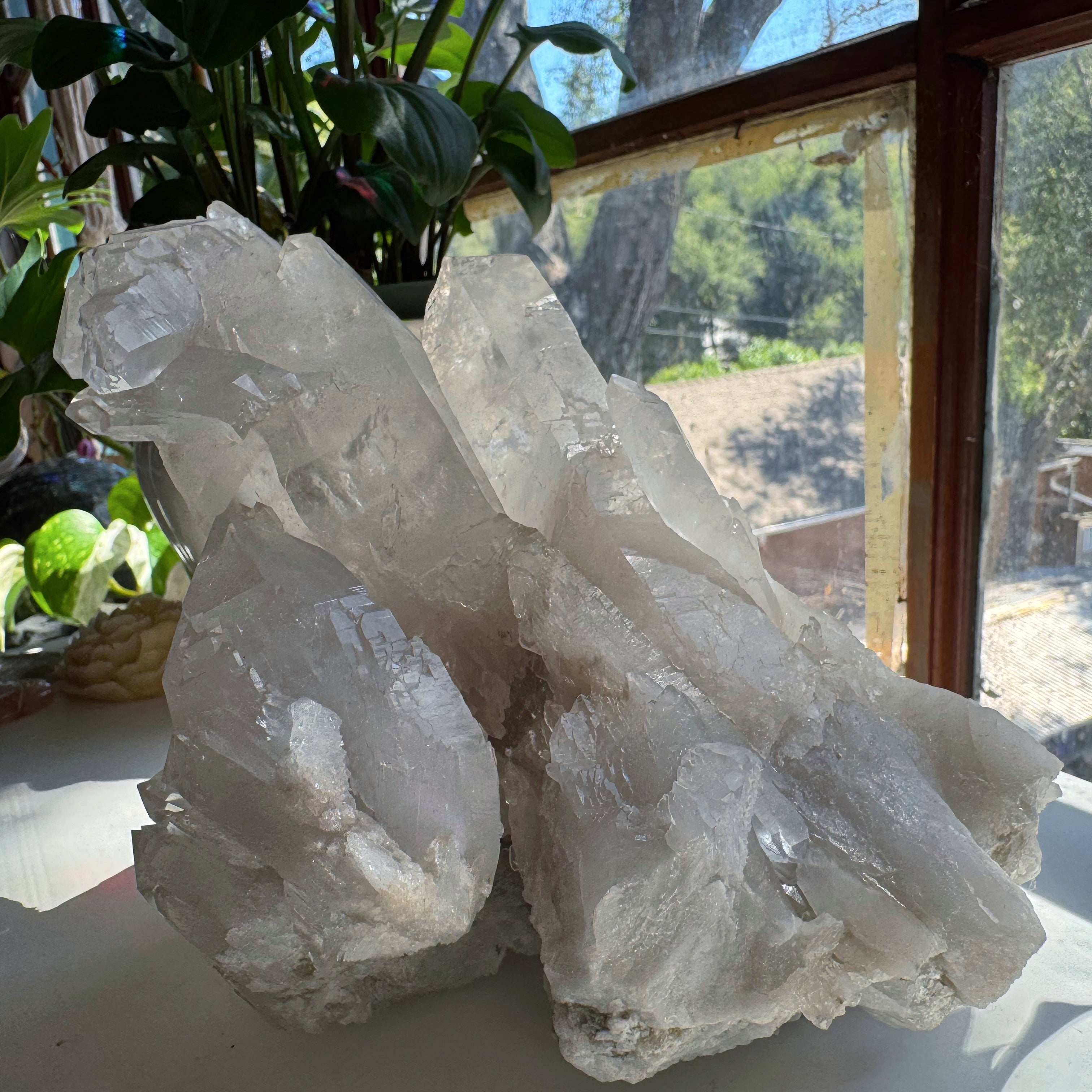 Large Rutilated Lemurian Quartz Cluster from Brazil Baltic Mermaid