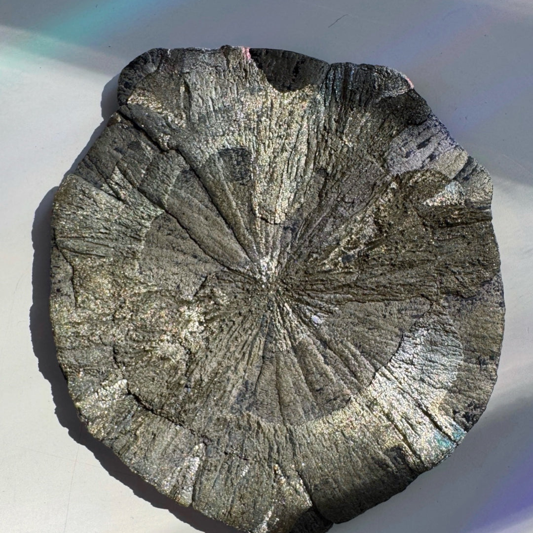 Pyrite Sun - Baltic Mermaid