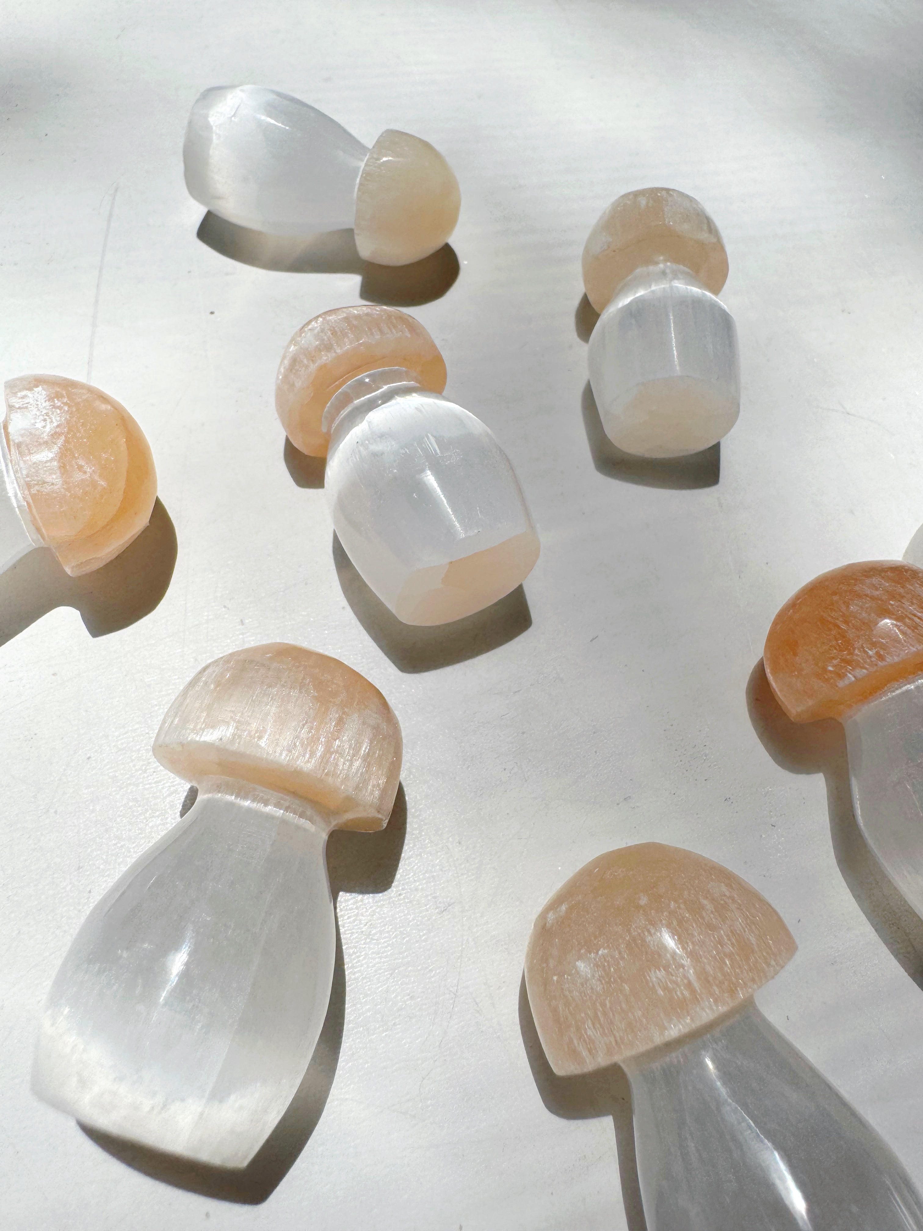 Lil’ Selenite Mushrooms Baltic Mermaid