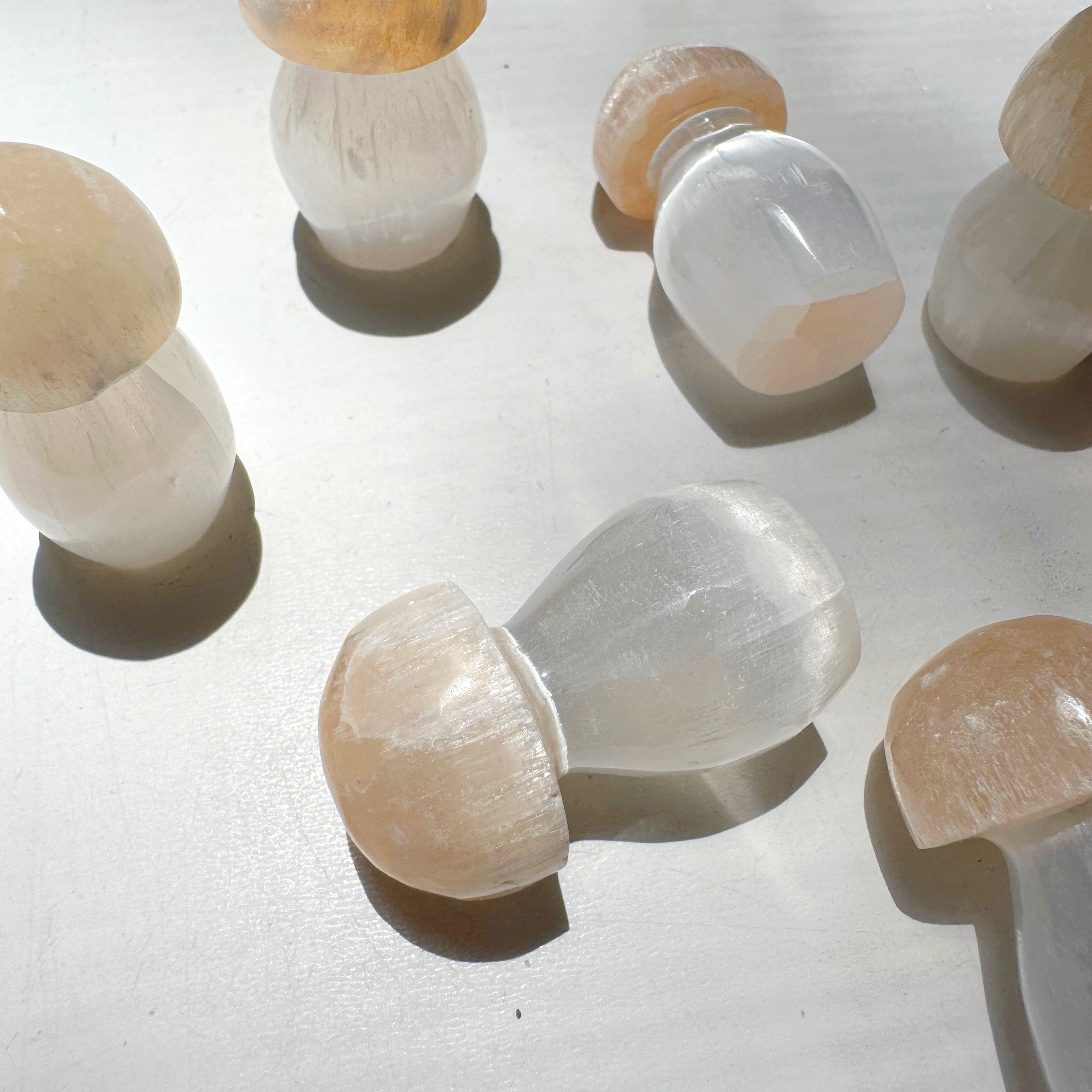 Lil’ Selenite Mushrooms Baltic Mermaid
