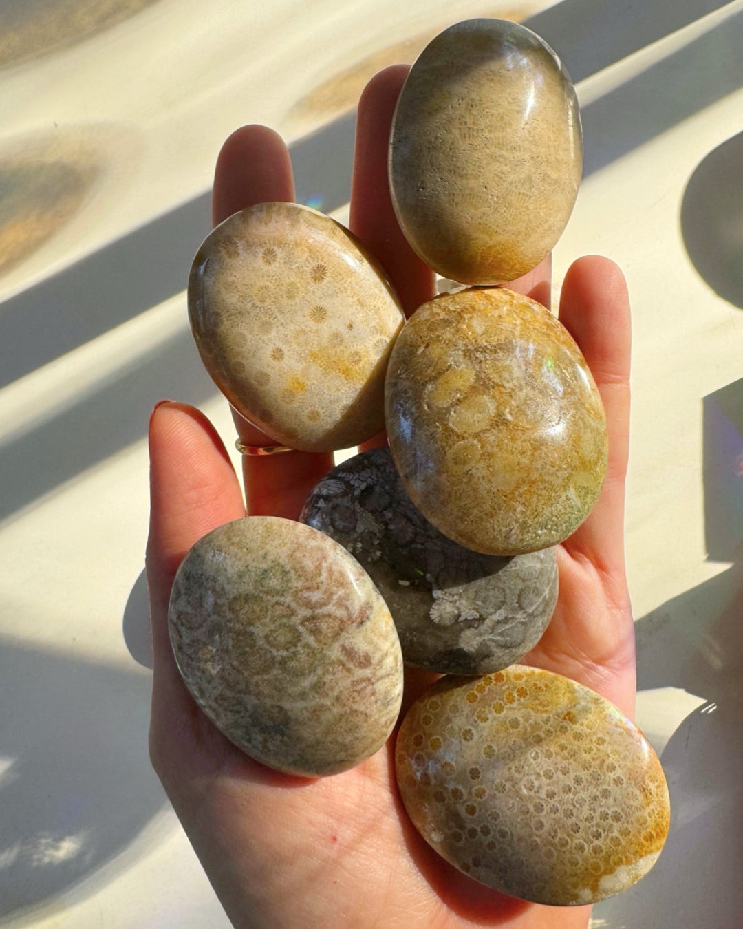 Fossil Coral Agate Palm Stones - Baltic Mermaid