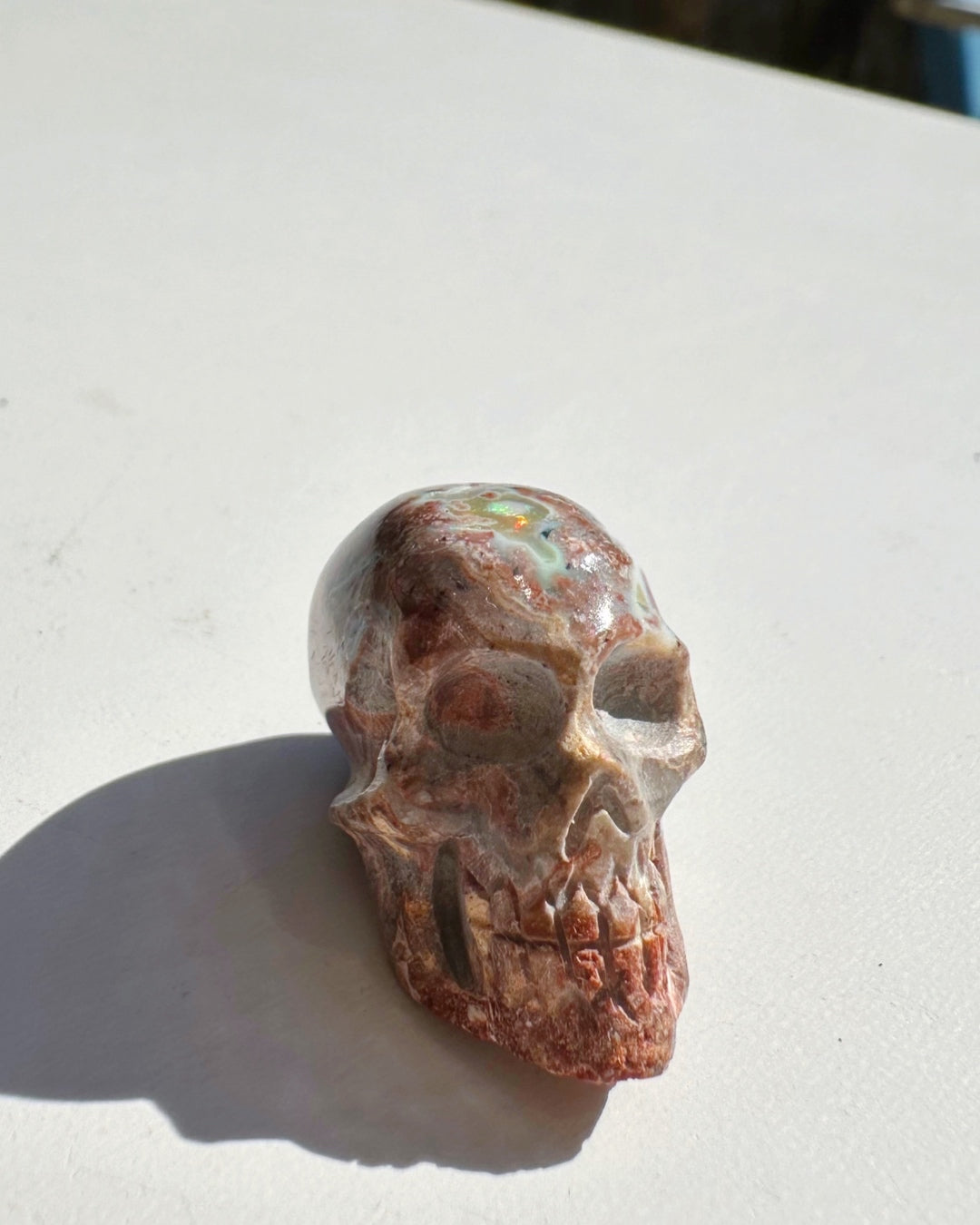 Cantera Opal Skull - Baltic Mermaid