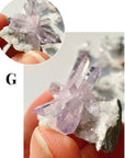 Mini Veracruz Amethyst Clusters - Baltic Mermaid