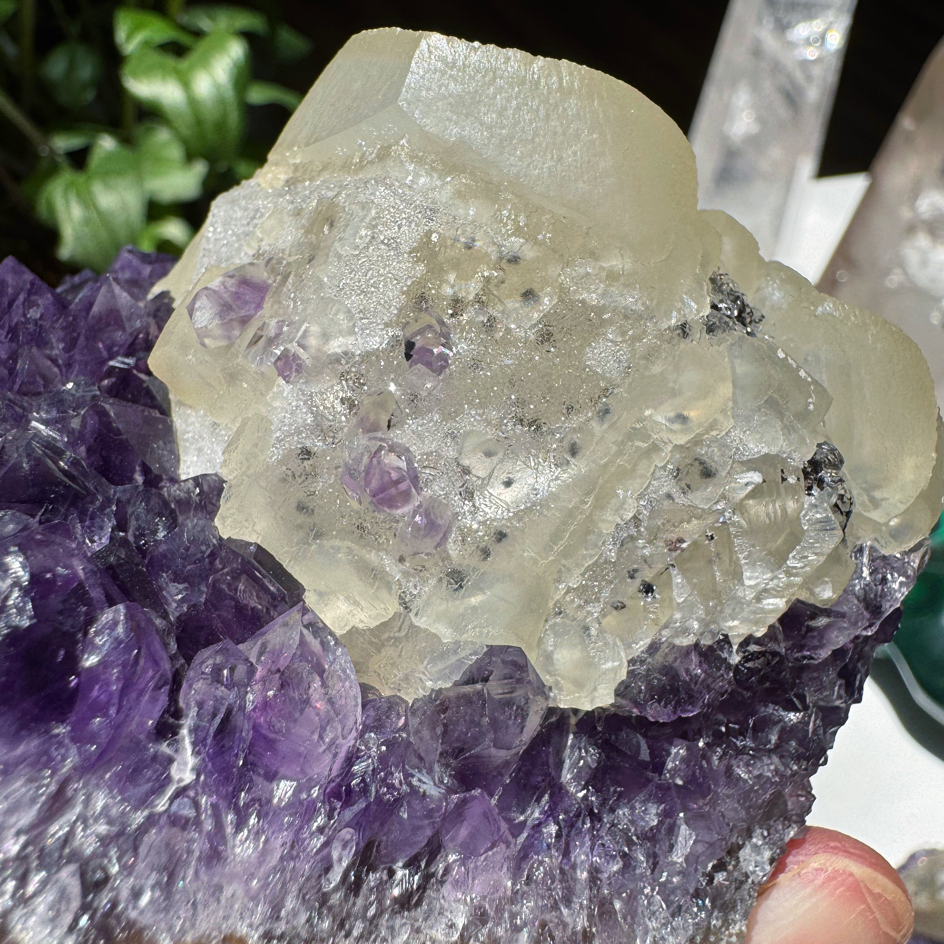 Amethyst Cluster w/ Druzy Calcite from Uruguay Baltic Mermaid