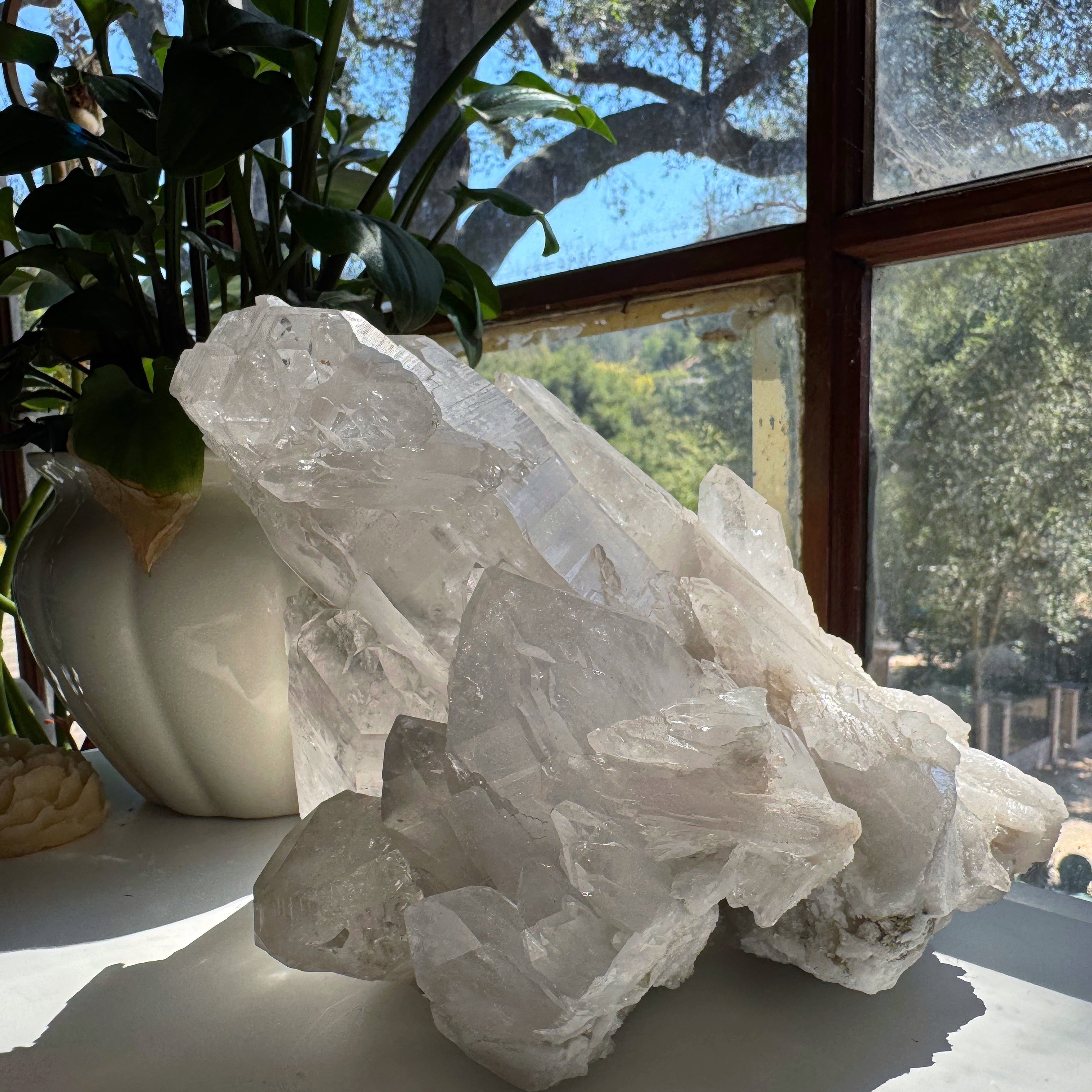 Large Rutilated Lemurian Quartz Cluster from Brazil Baltic Mermaid