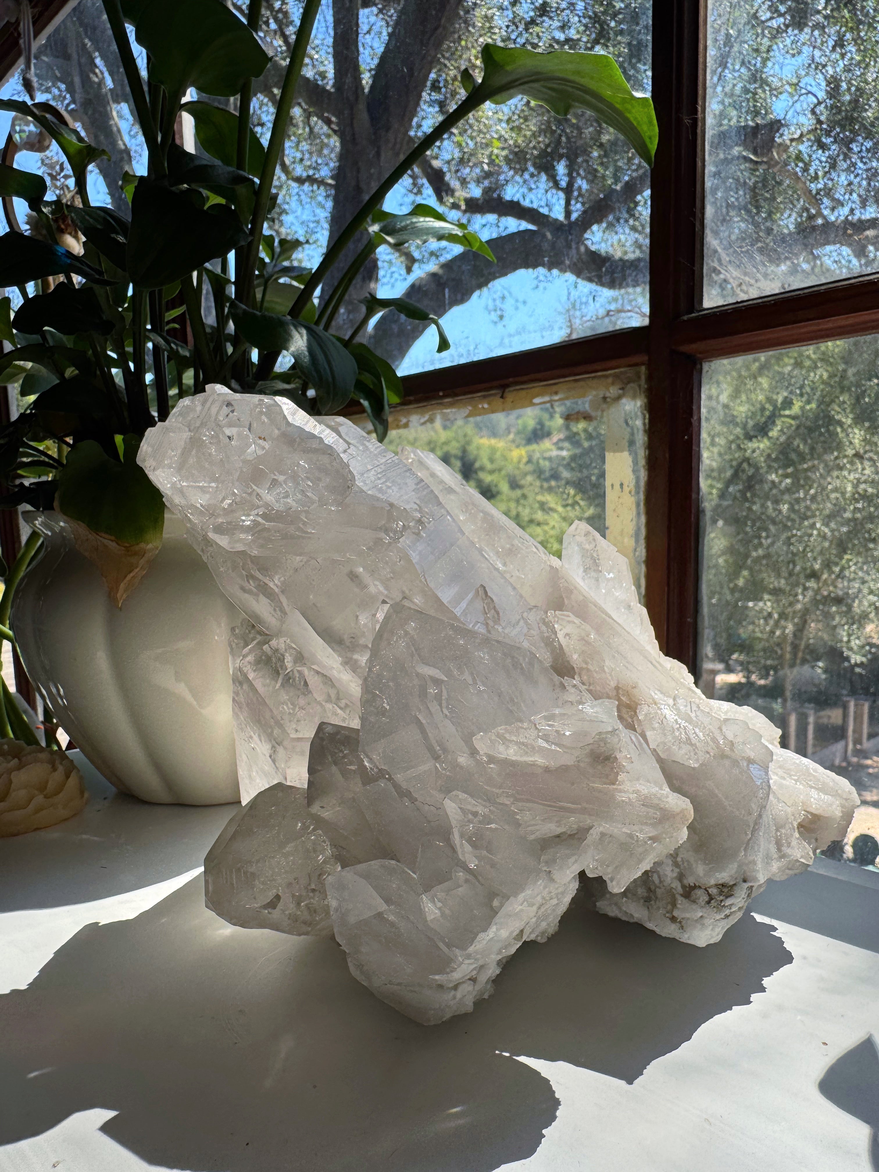 Large Rutilated Lemurian Quartz Cluster from Brazil Baltic Mermaid