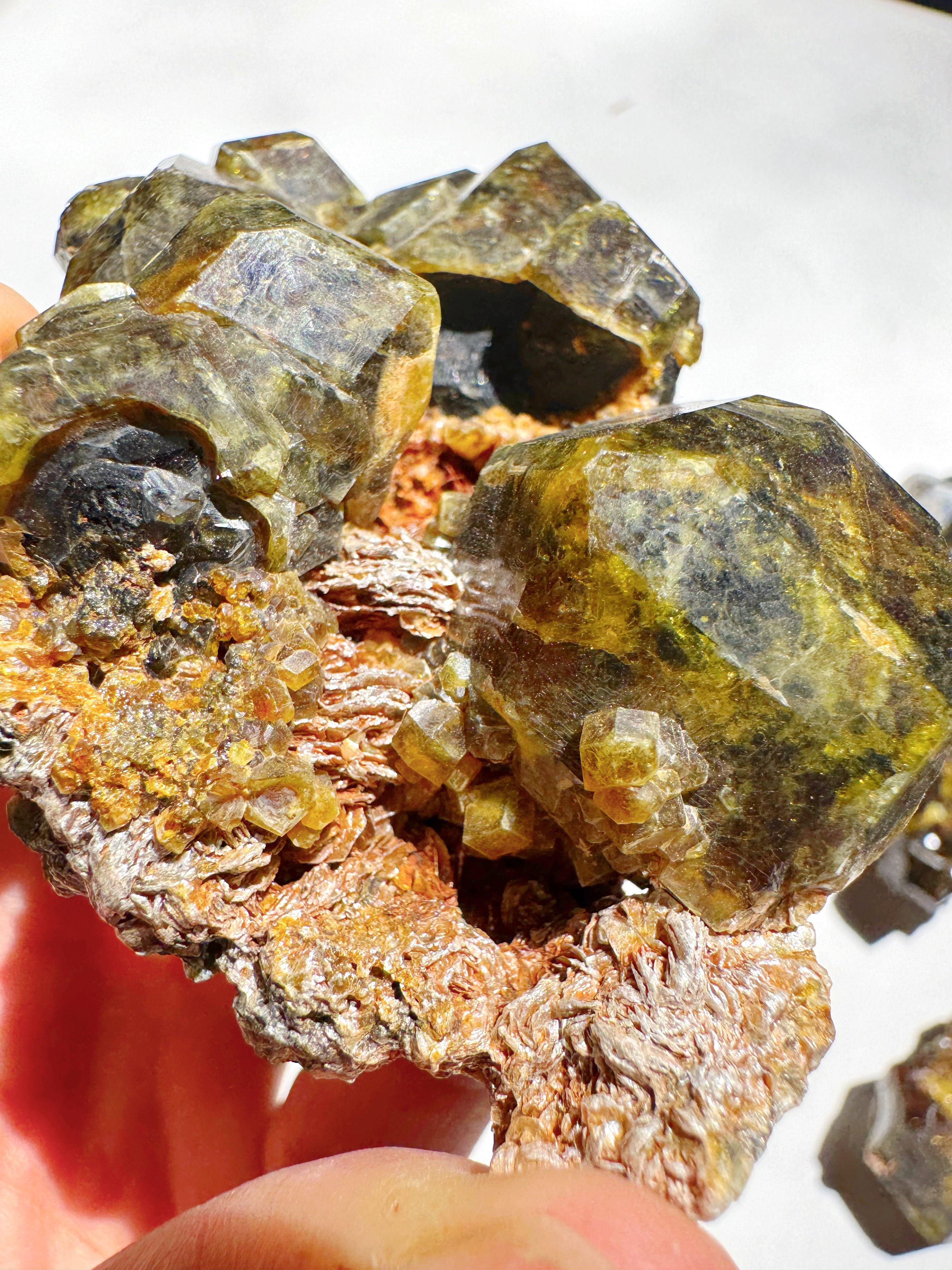 Rare Mali Green Grossular Andradite Garnet w/ Clinochlore AAA Quality Baltic Mermaid