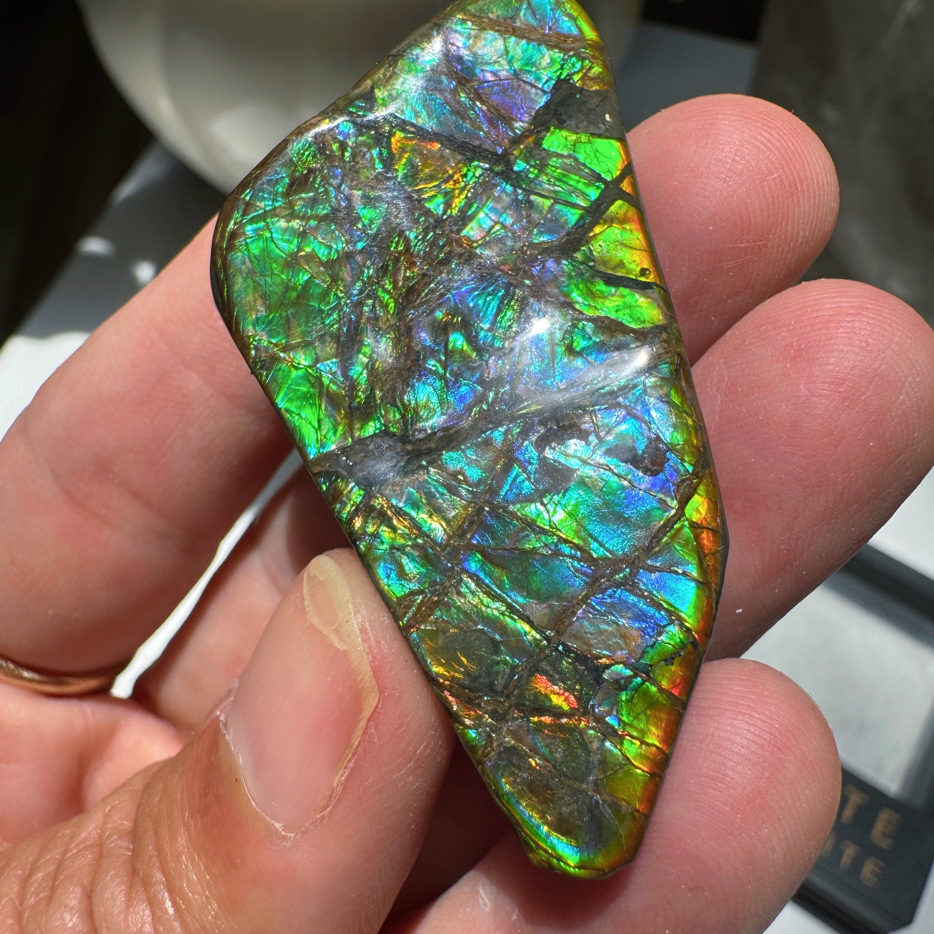 Ammolite Gemstone Hand Specimen Baltic Mermaid
