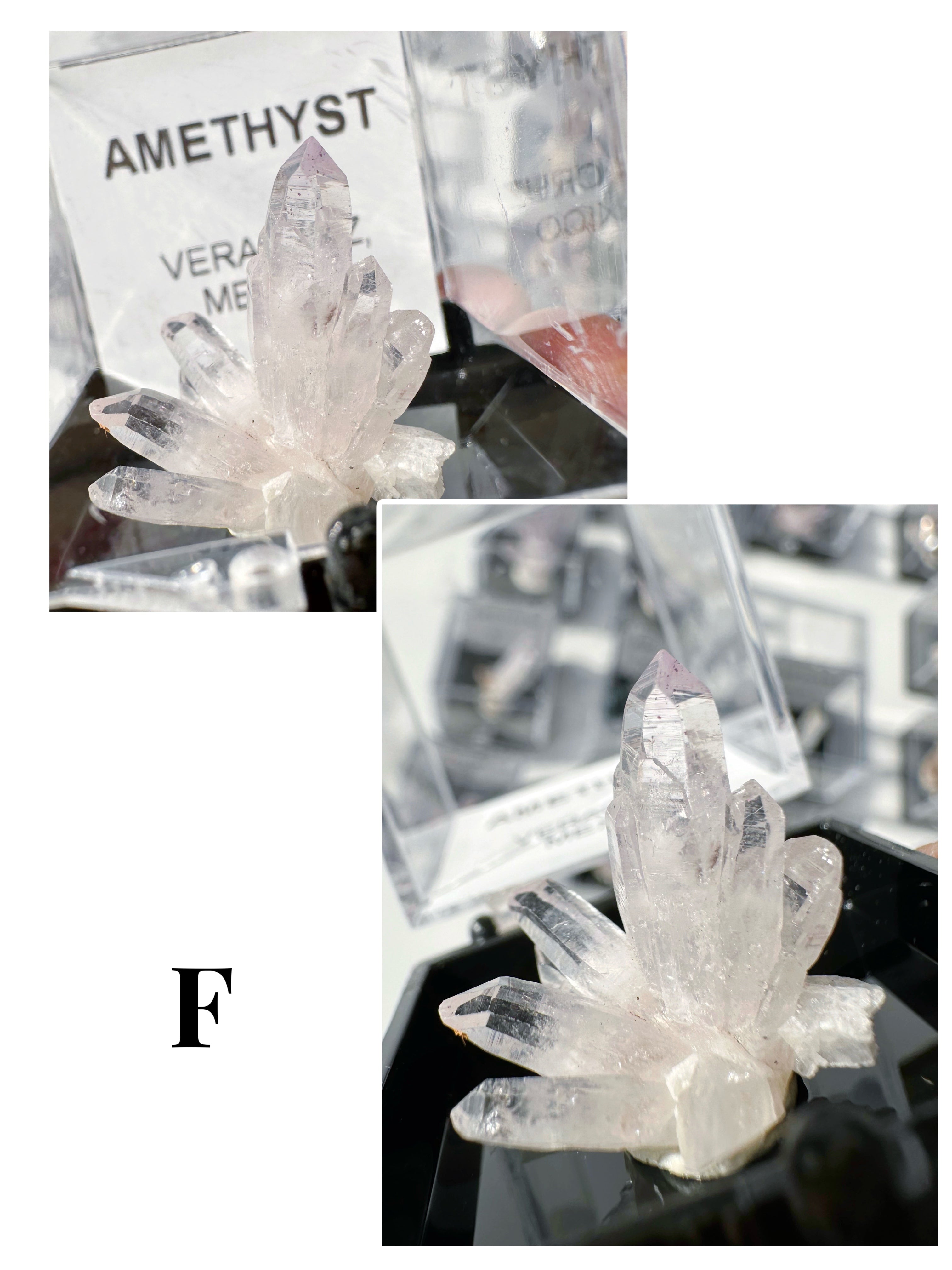 Veracruz Amethyst Thumbnails in Perky Box - Baltic Mermaid