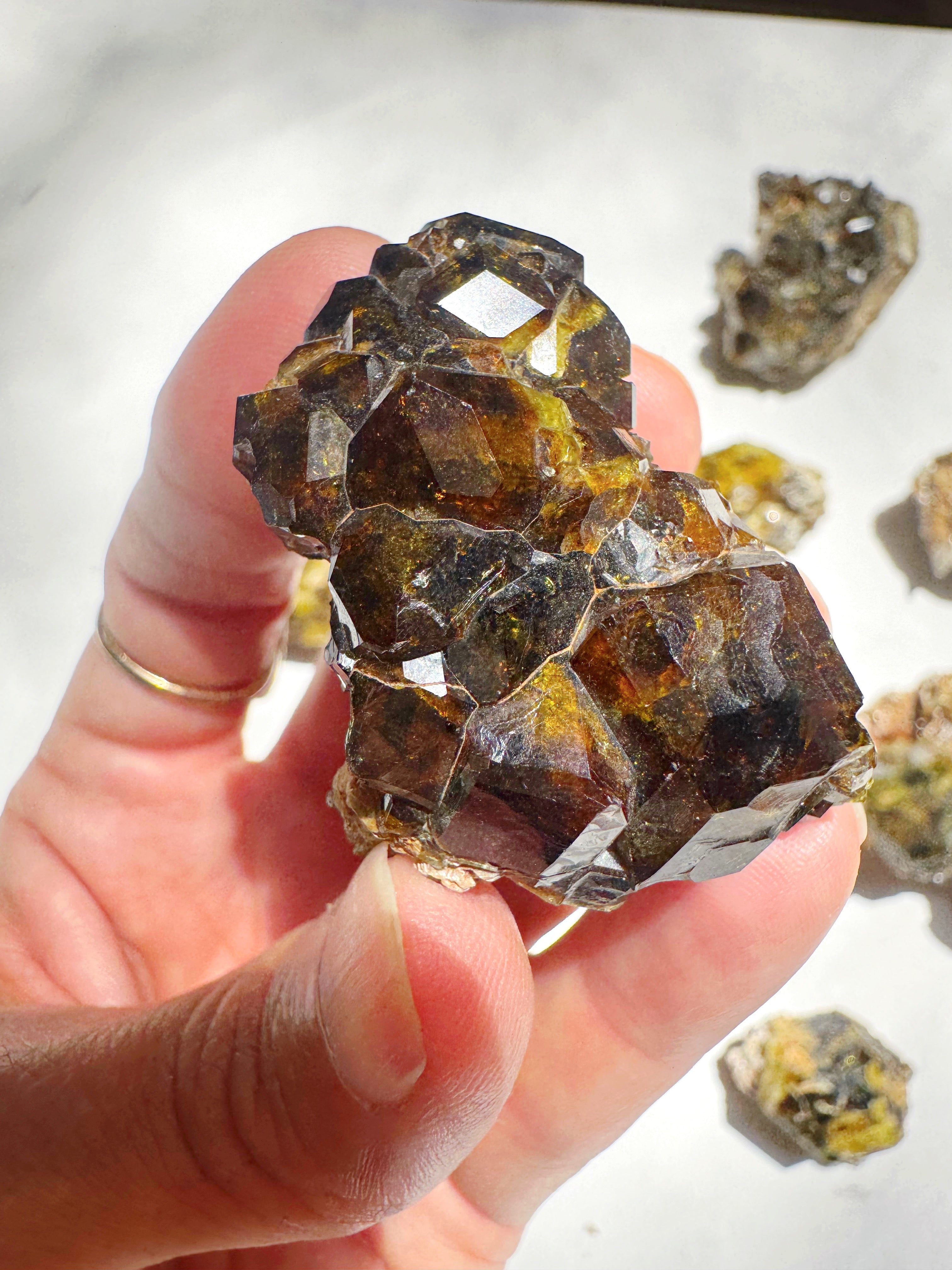 Rare Mali Green Grossular Andradite Garnet Epimorph w/ Clinochlore AAA Quality Baltic Mermaid