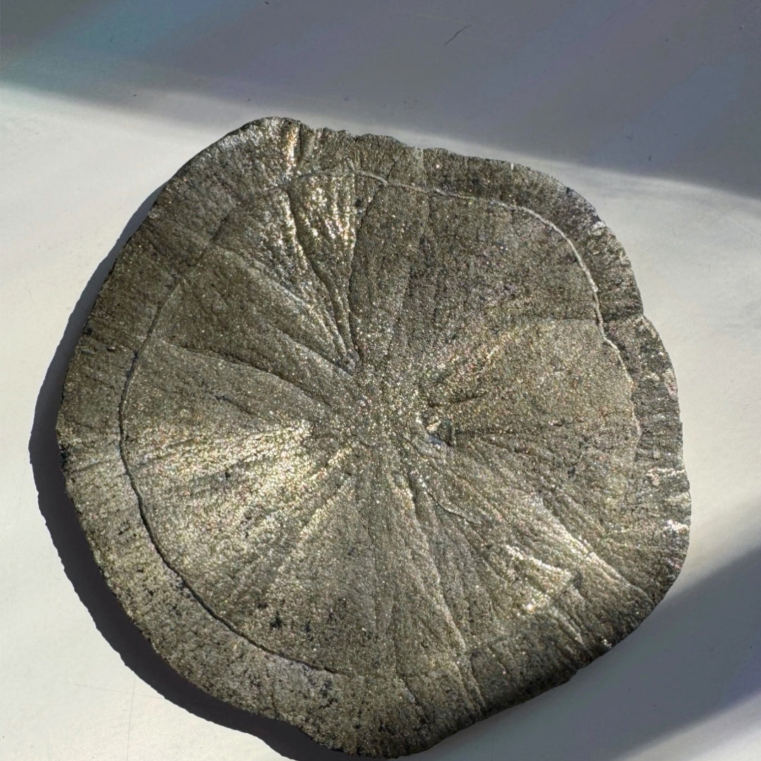 Pyrite Sun - Baltic Mermaid