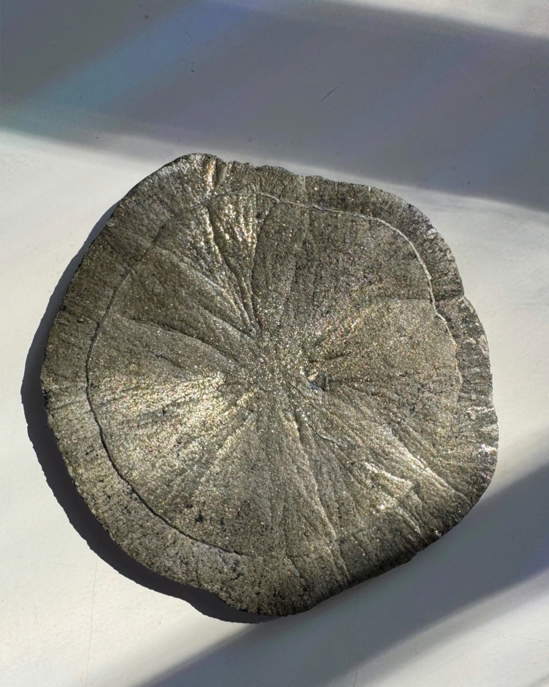 Pyrite Sun - Baltic Mermaid