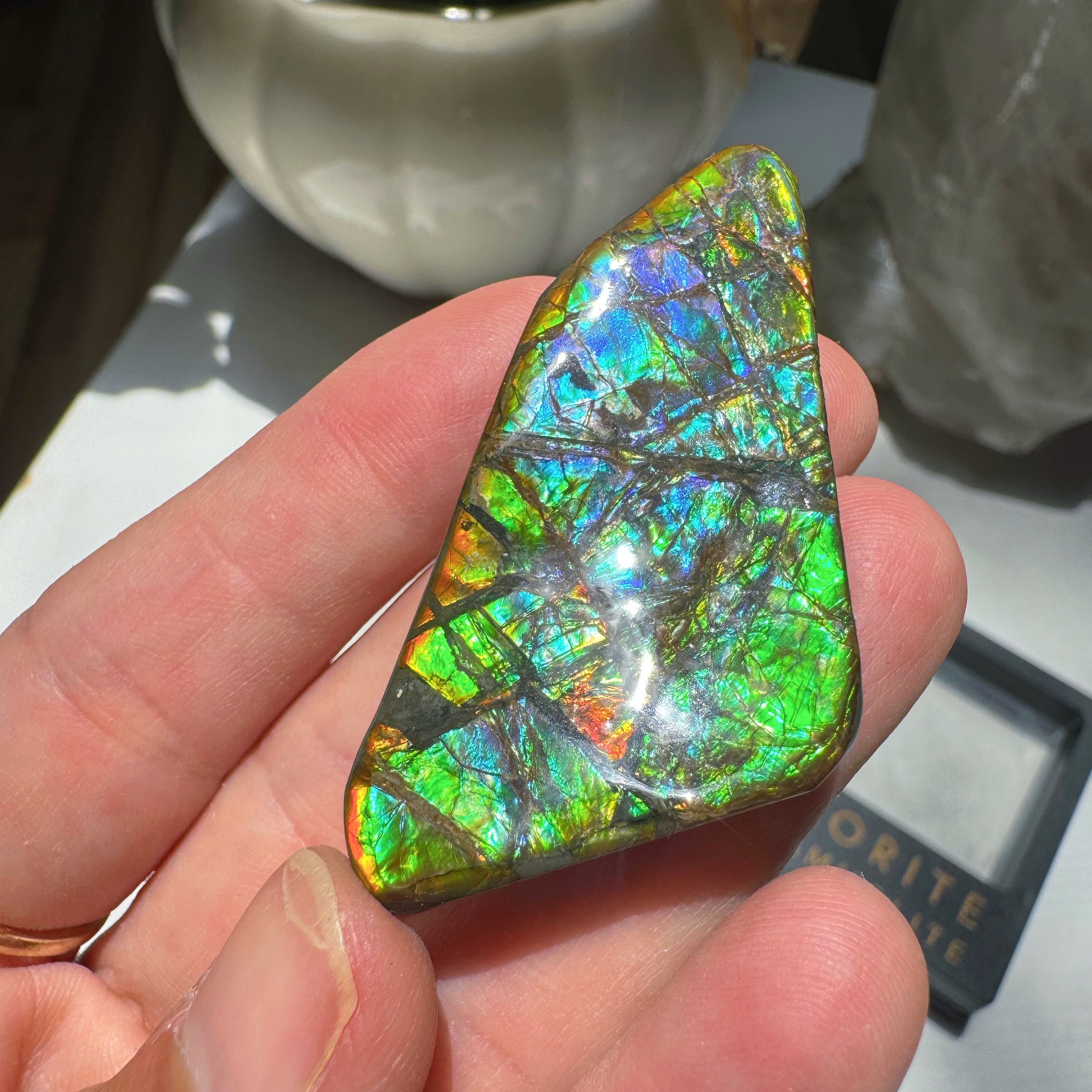 Ammolite Gemstone Hand Specimen Baltic Mermaid
