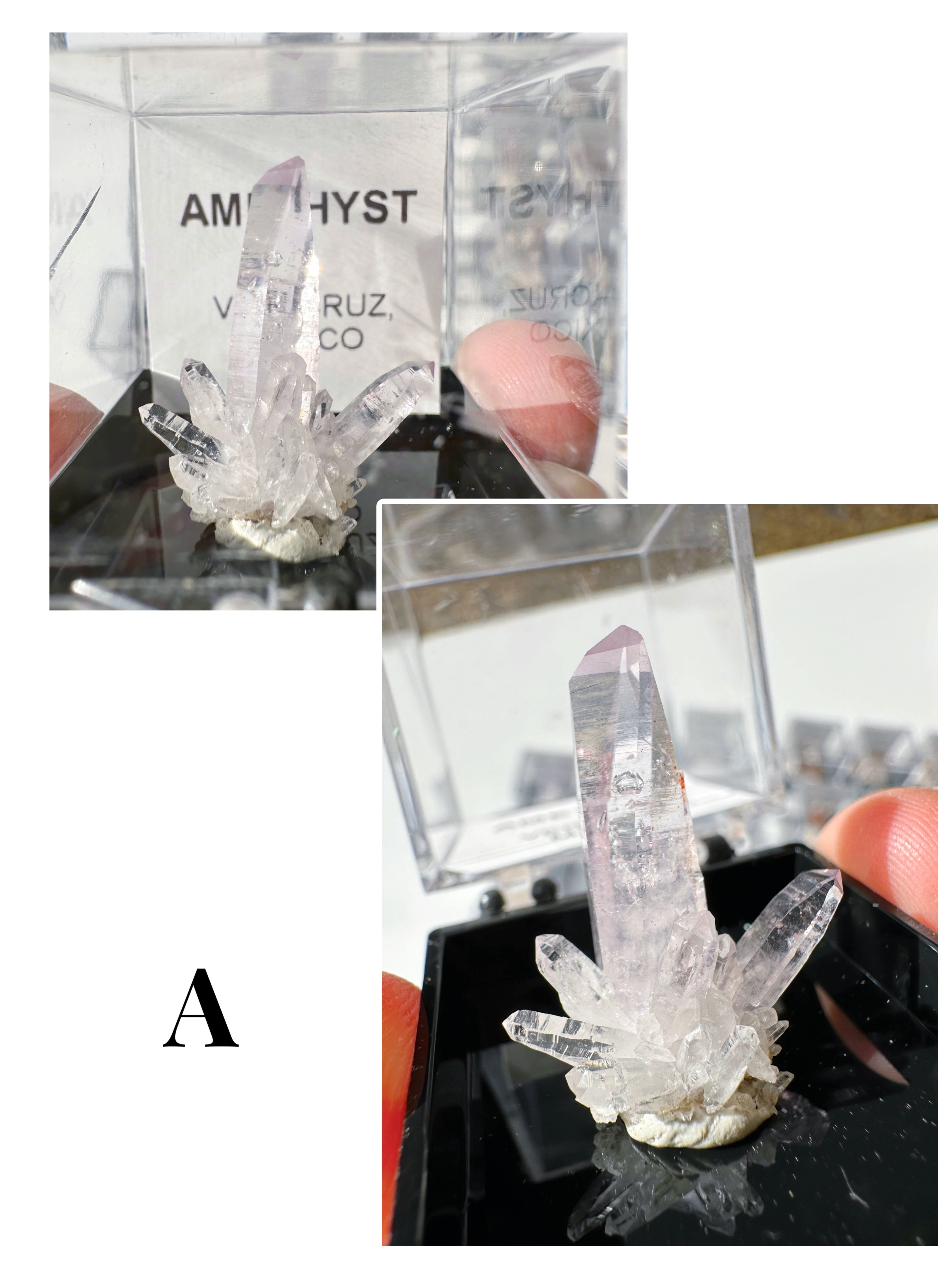Veracruz Amethyst Thumbnails in Perky Box - Baltic Mermaid