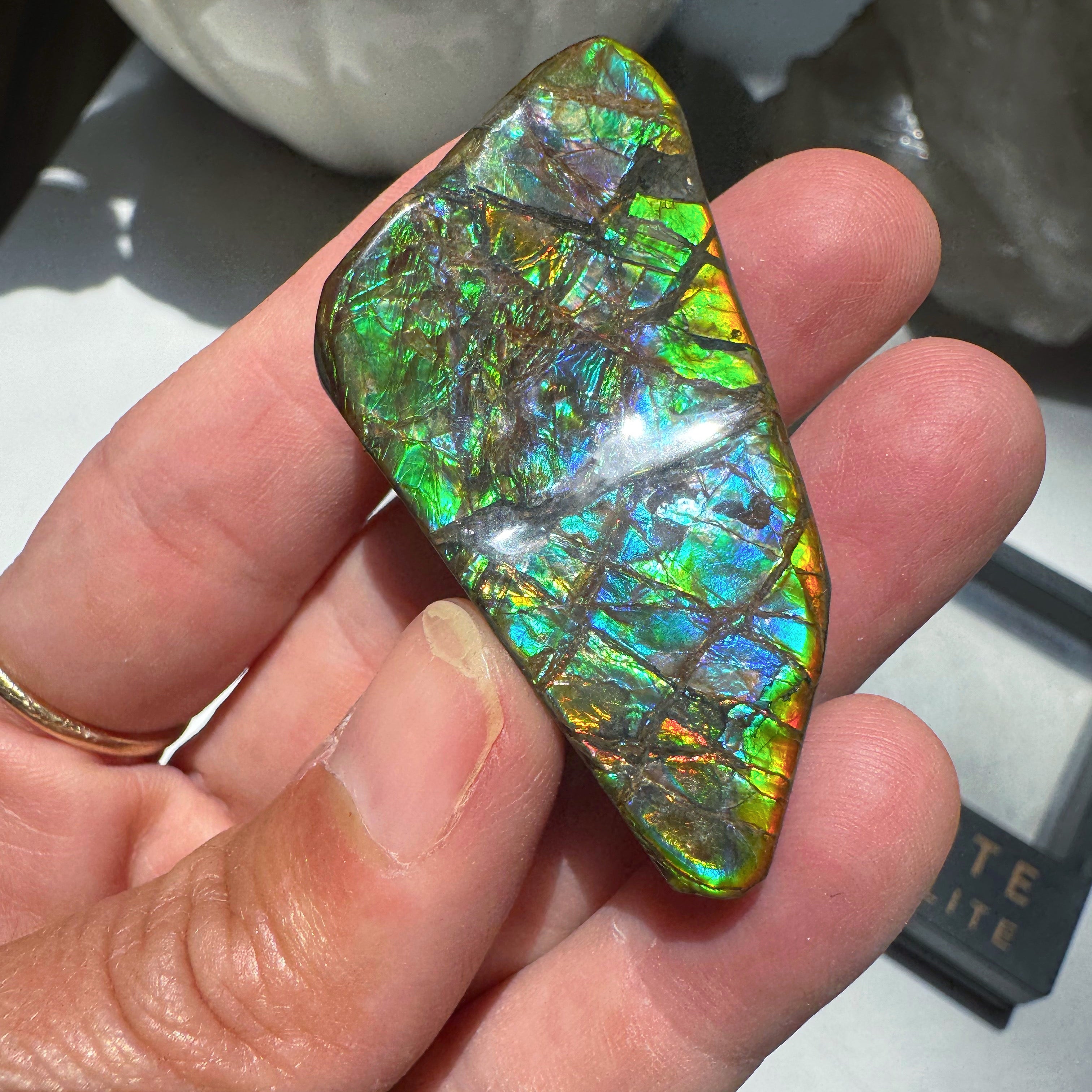 Ammolite Gemstone Hand Specimen Baltic Mermaid