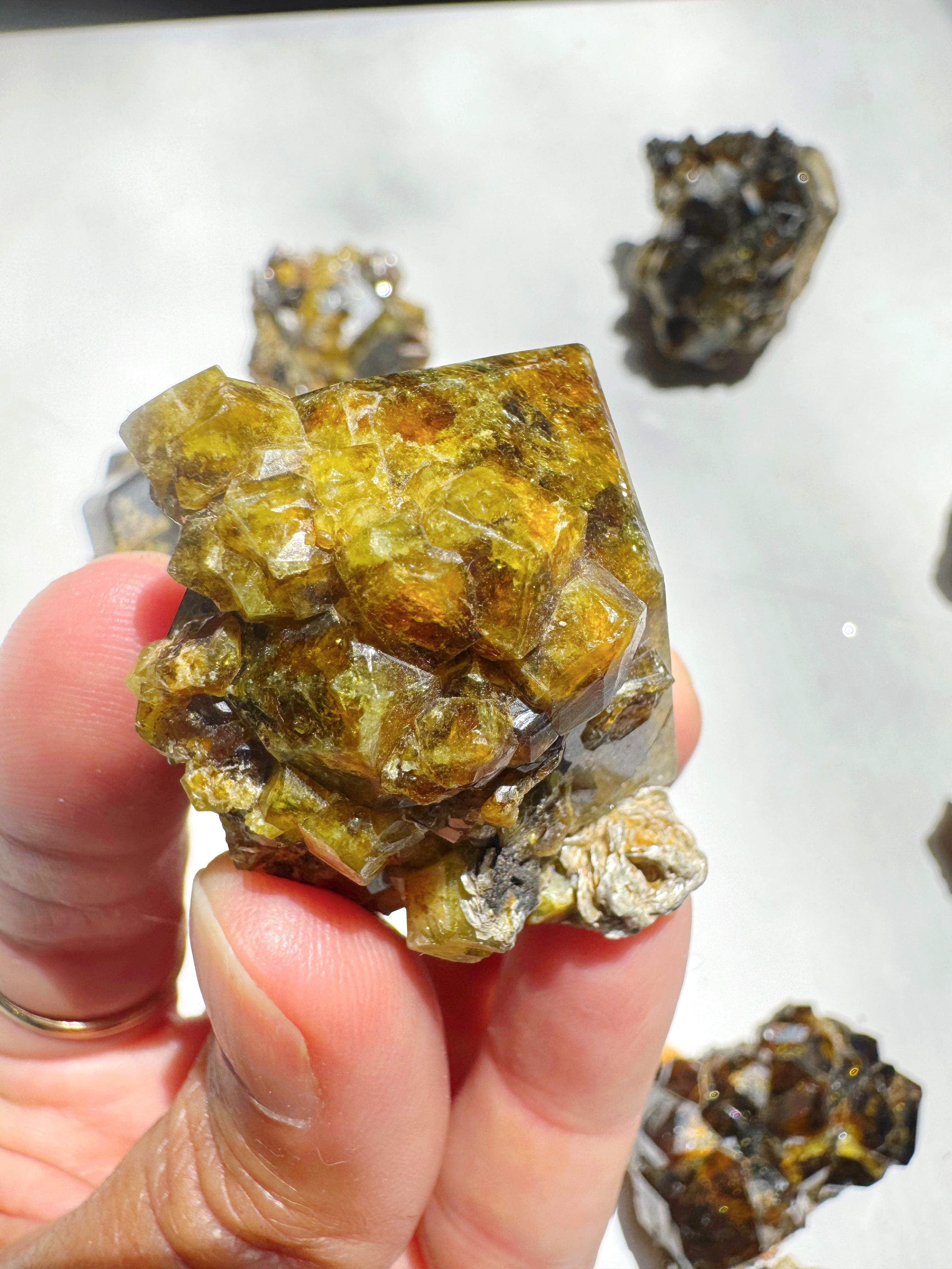 Rare Mali Green Grossular Andradite Garnet w/ Clinochlore AAA Quality Baltic Mermaid