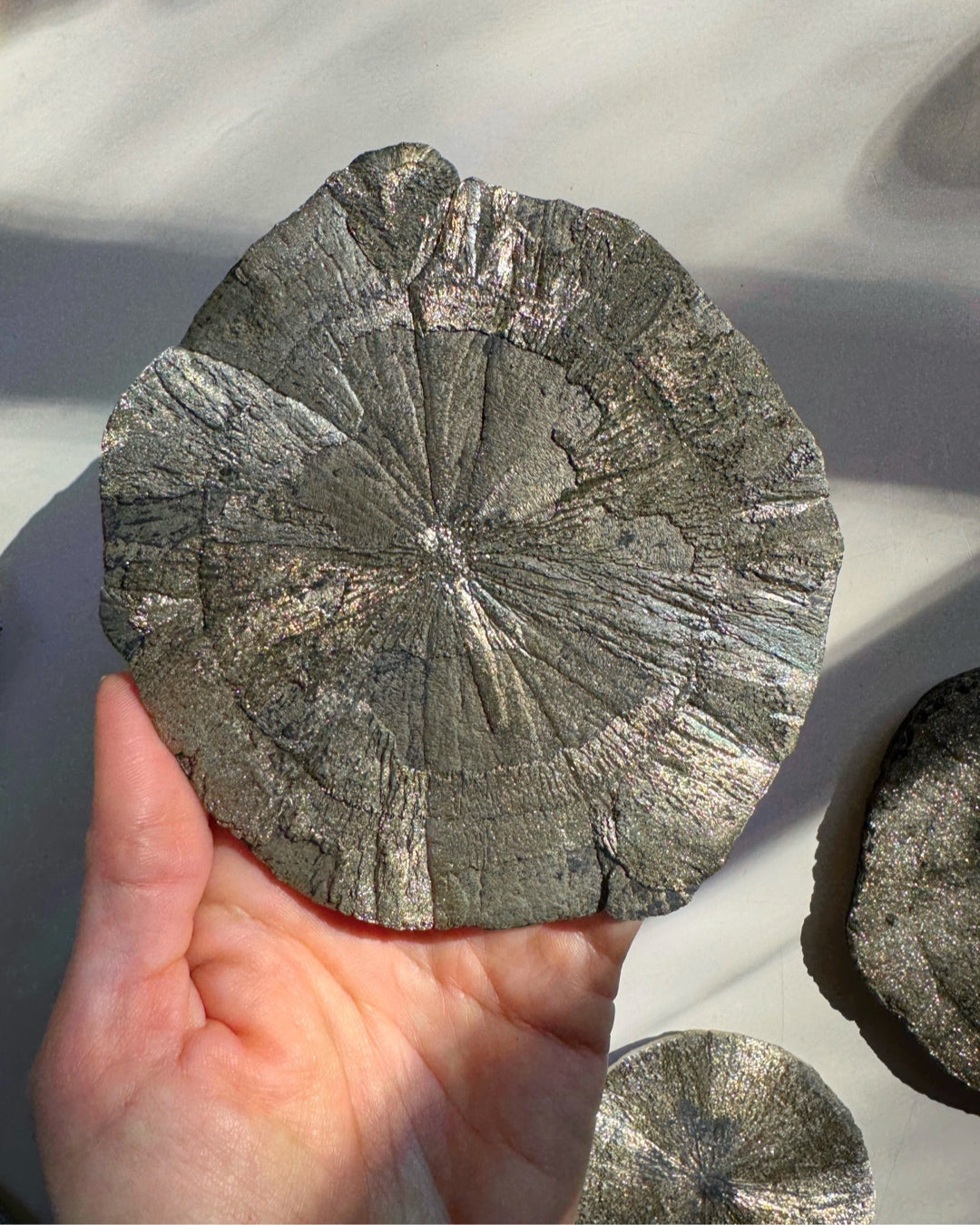 Pyrite Sun - Baltic Mermaid