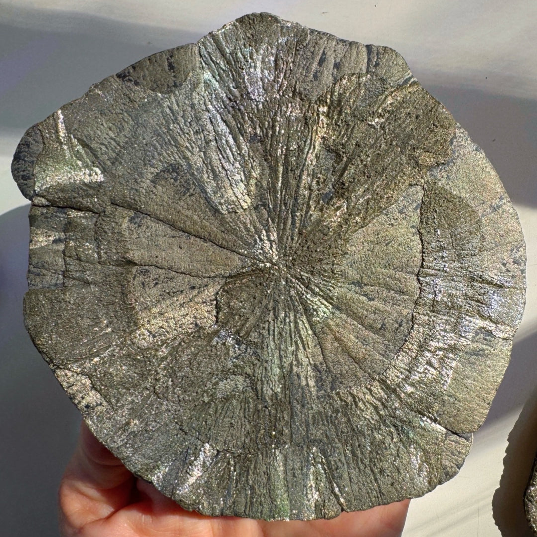 Pyrite Sun - Baltic Mermaid