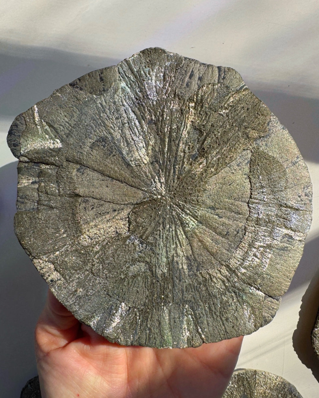 Pyrite Sun - Baltic Mermaid