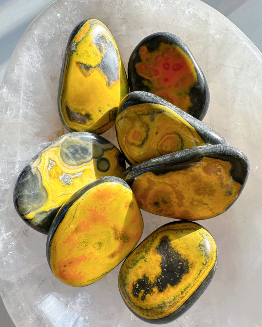Bumblebee Jasper Palm Stones - Baltic Mermaid