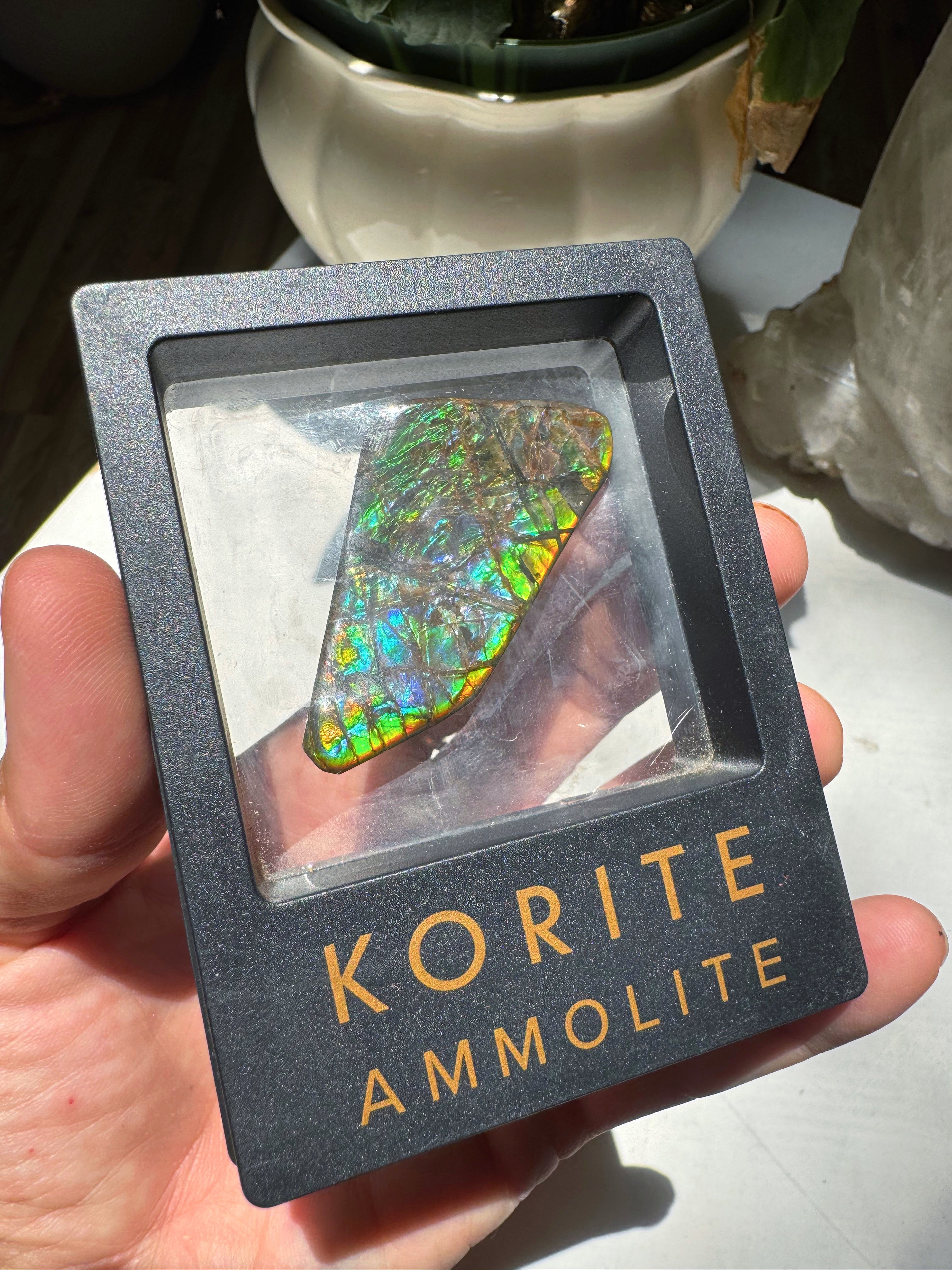 Ammolite Gemstone Hand Specimen Baltic Mermaid