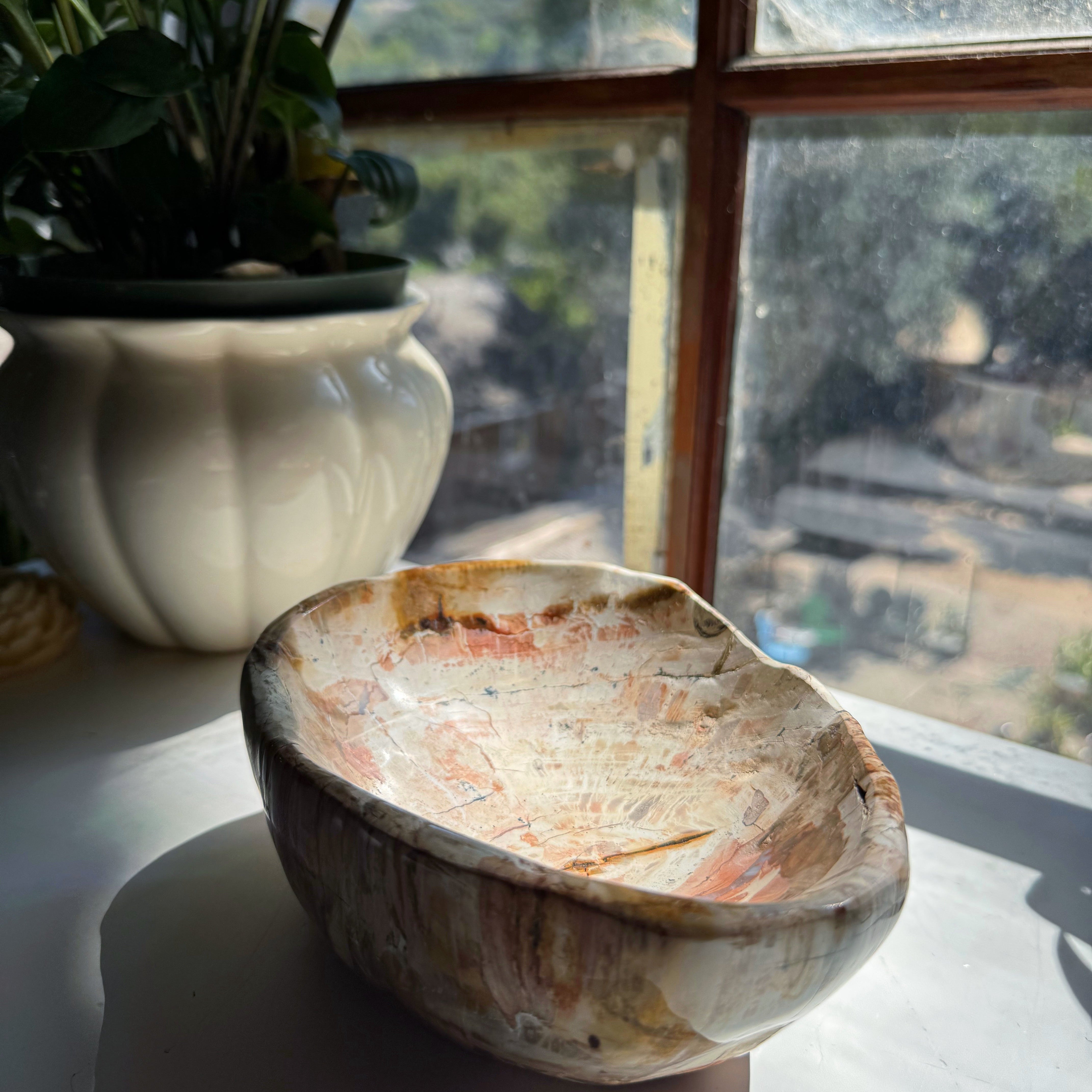 Petrified Wood Bowl Baltic Mermaid