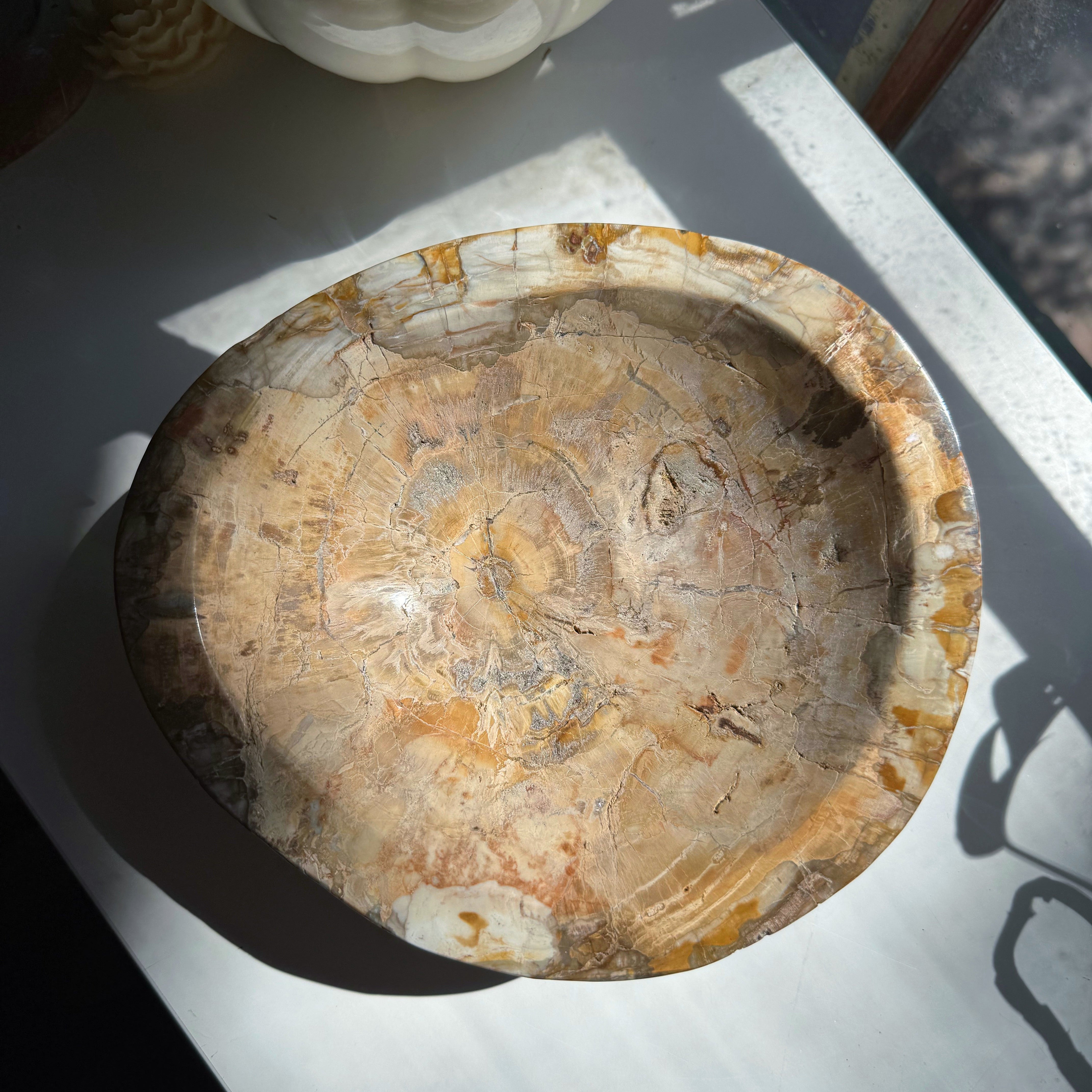 Petrified Wood Bowl Baltic Mermaid