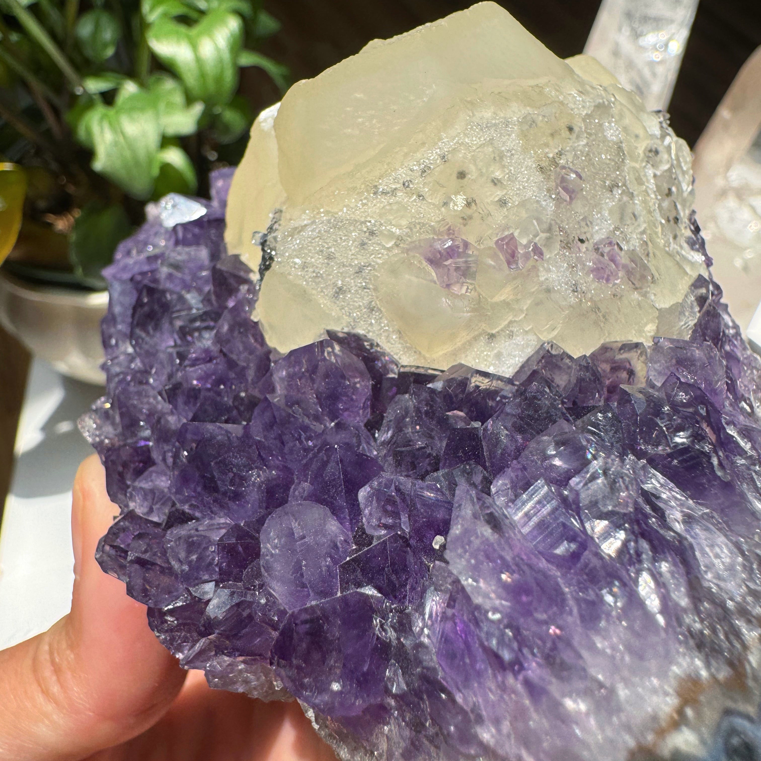Amethyst Cluster w/ Druzy Calcite from Uruguay Baltic Mermaid