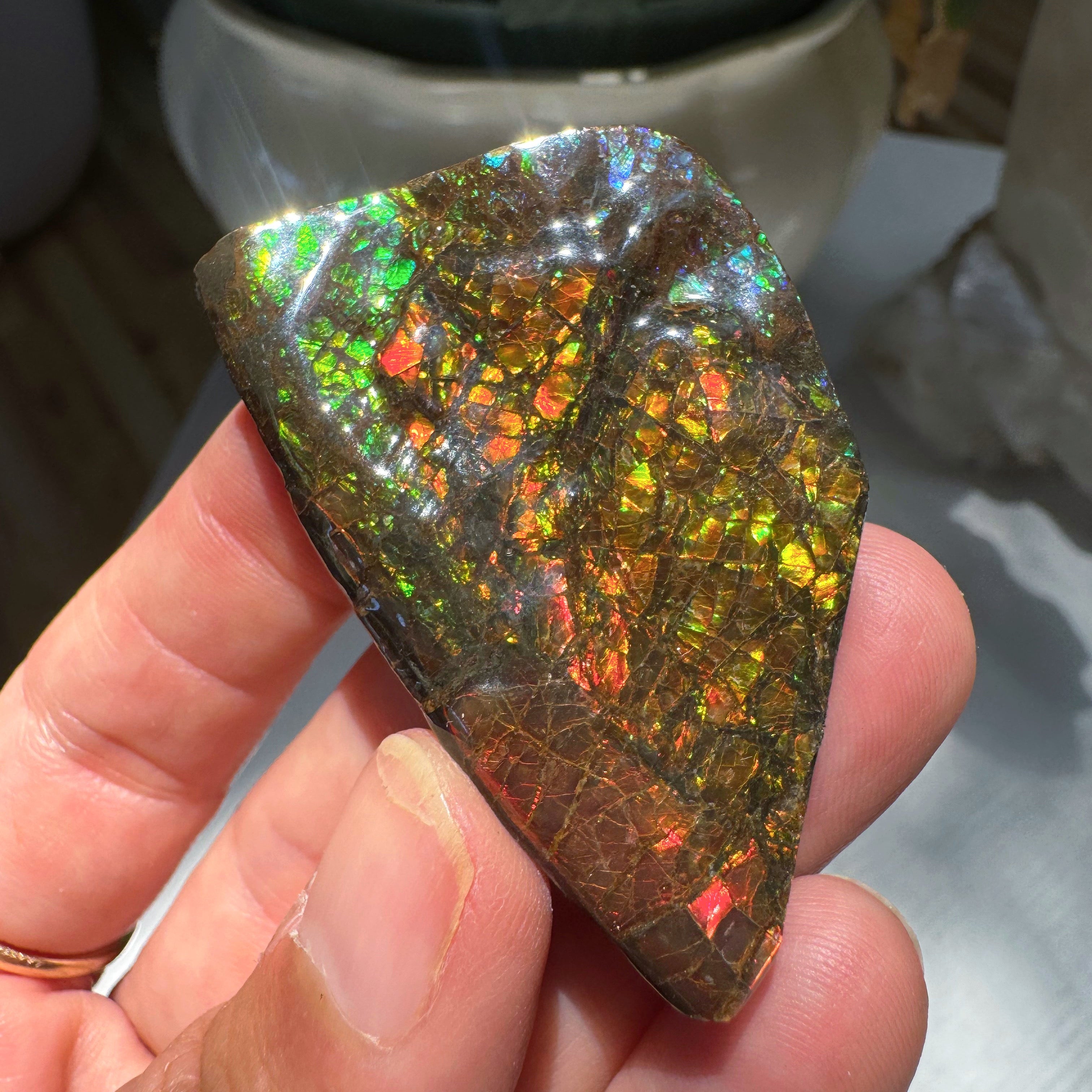 Ammolite Gemstone Hand Specimen Baltic Mermaid