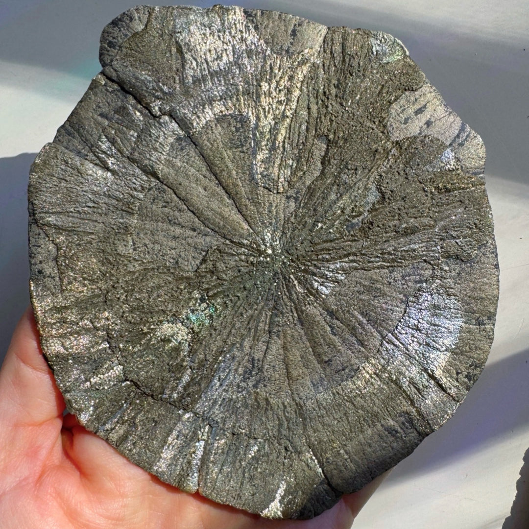 Pyrite Sun - Baltic Mermaid