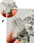 Mini Veracruz Amethyst Clusters - Baltic Mermaid