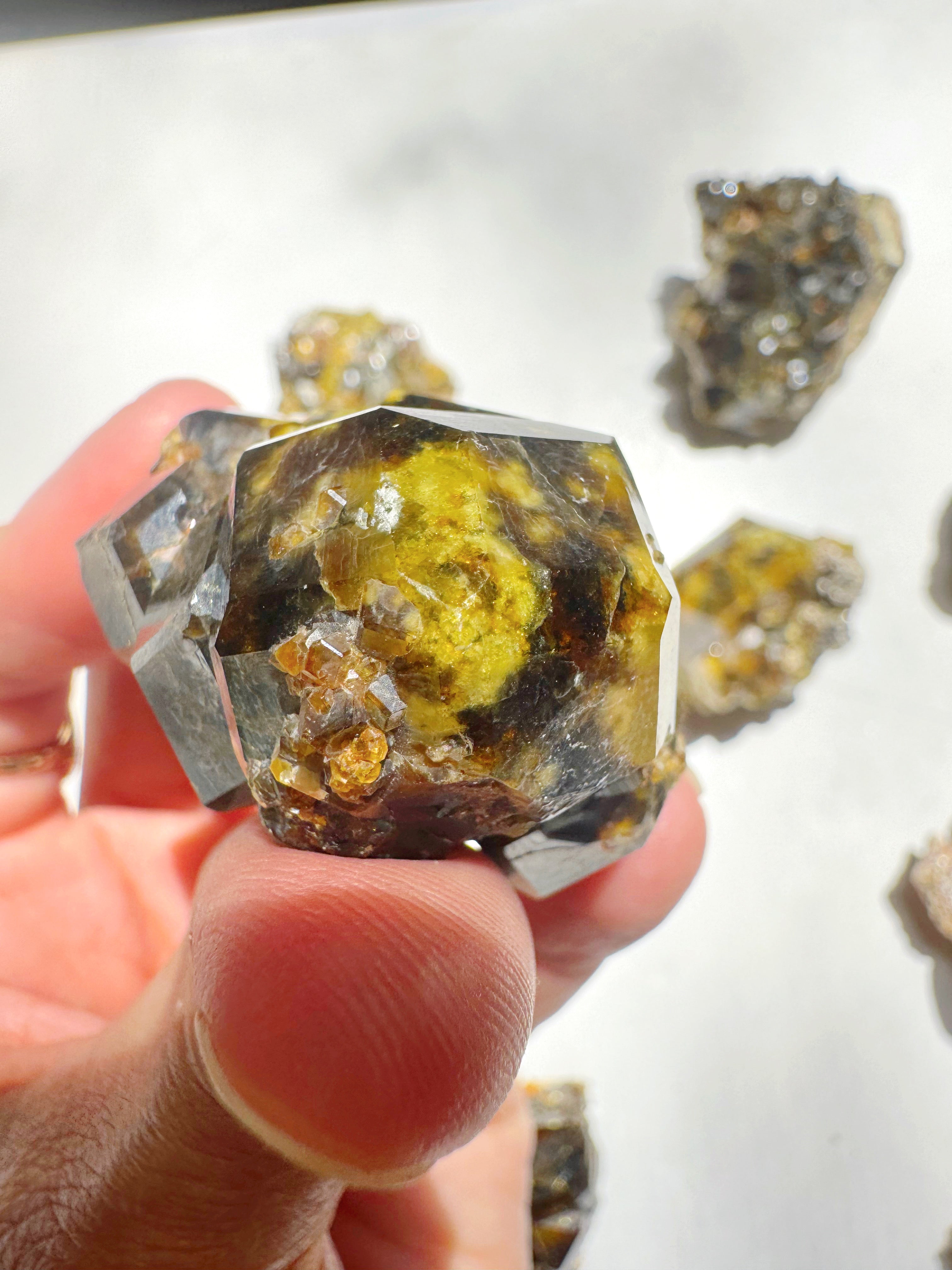 Rare Mali Green Grossular Andradite Garnet AAA Quality Baltic Mermaid