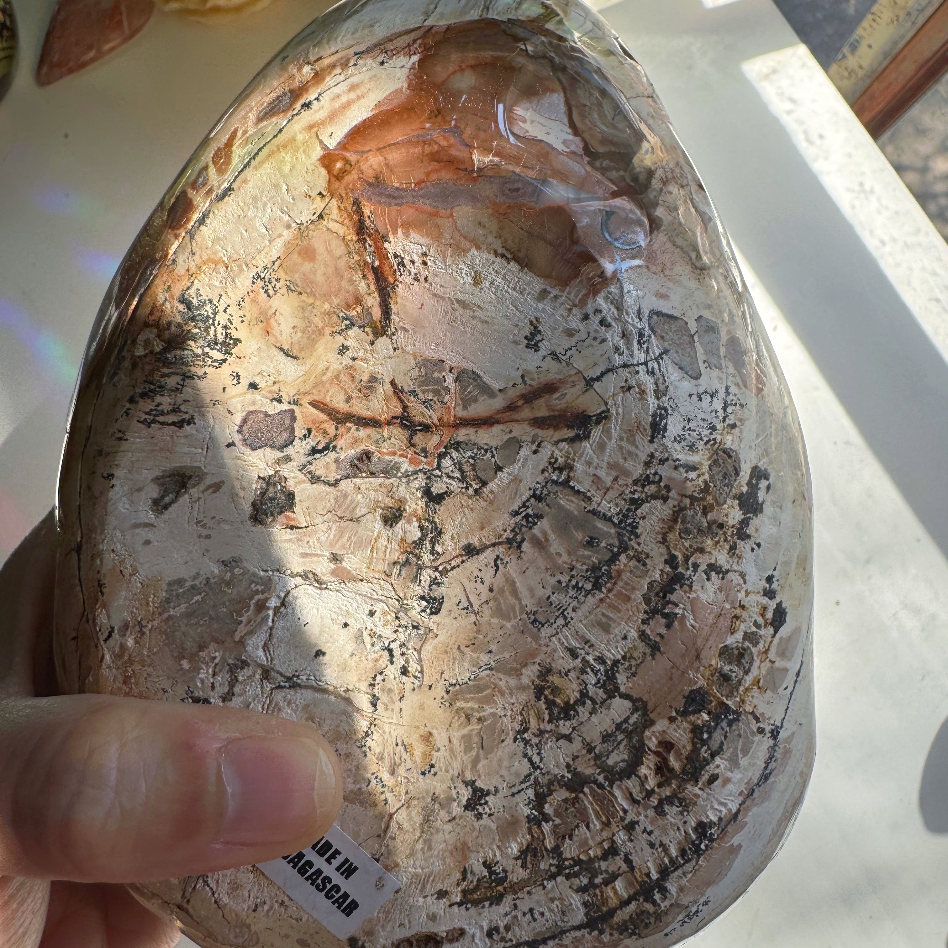 Petrified Wood Bowl Baltic Mermaid