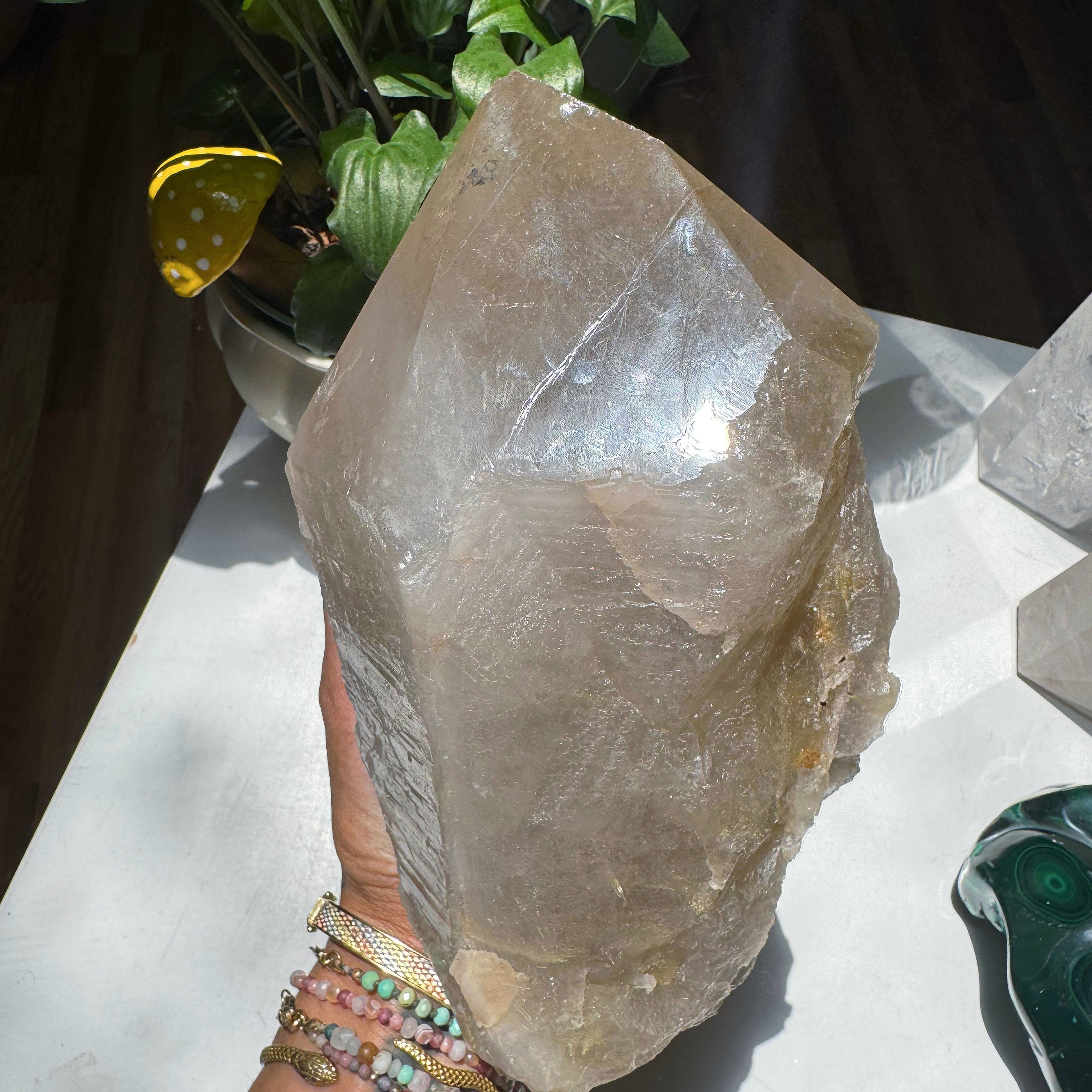 Large Rutilated Quartz Point from Brazil w/ Recordkeepers Baltic Mermaid