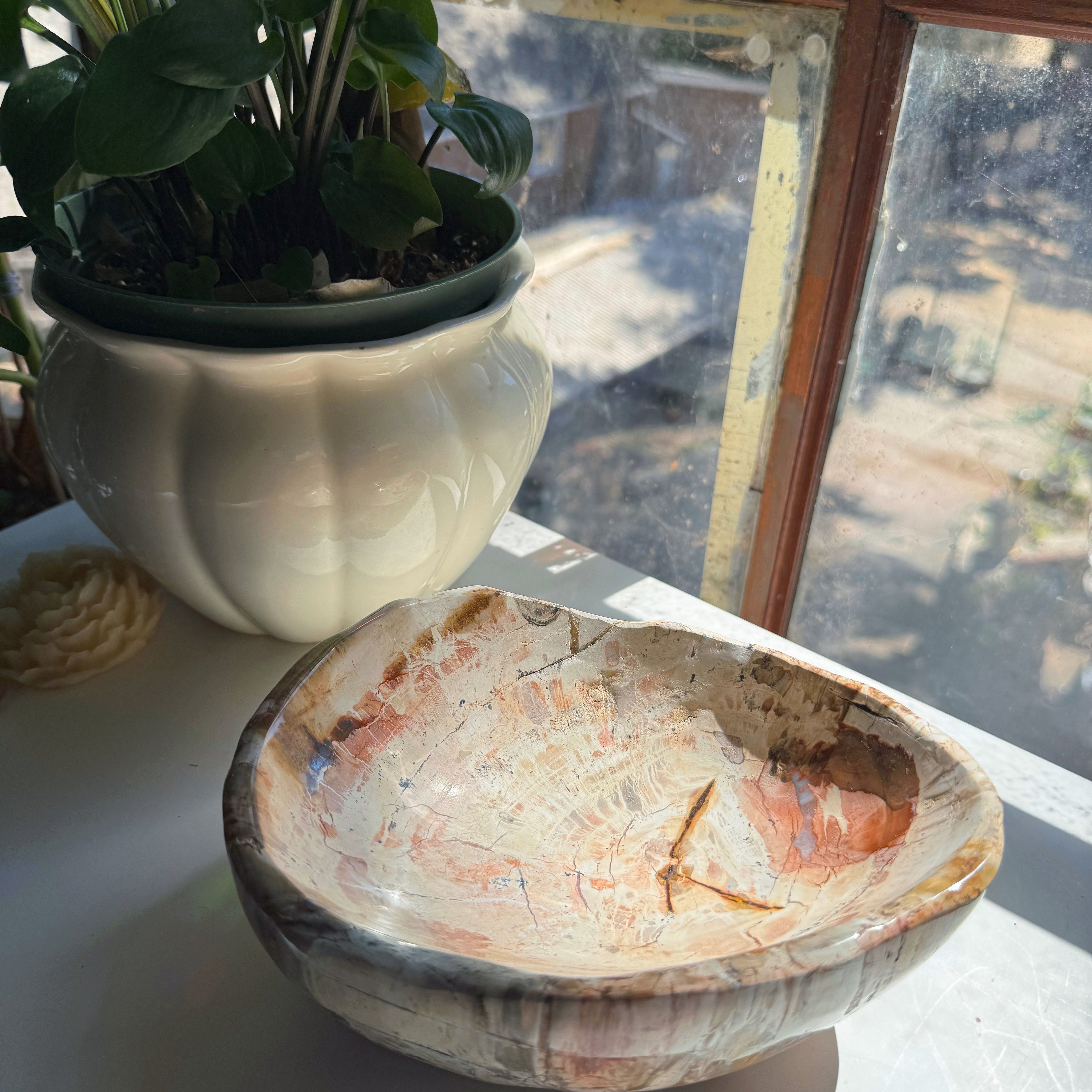 Petrified Wood Bowl Baltic Mermaid