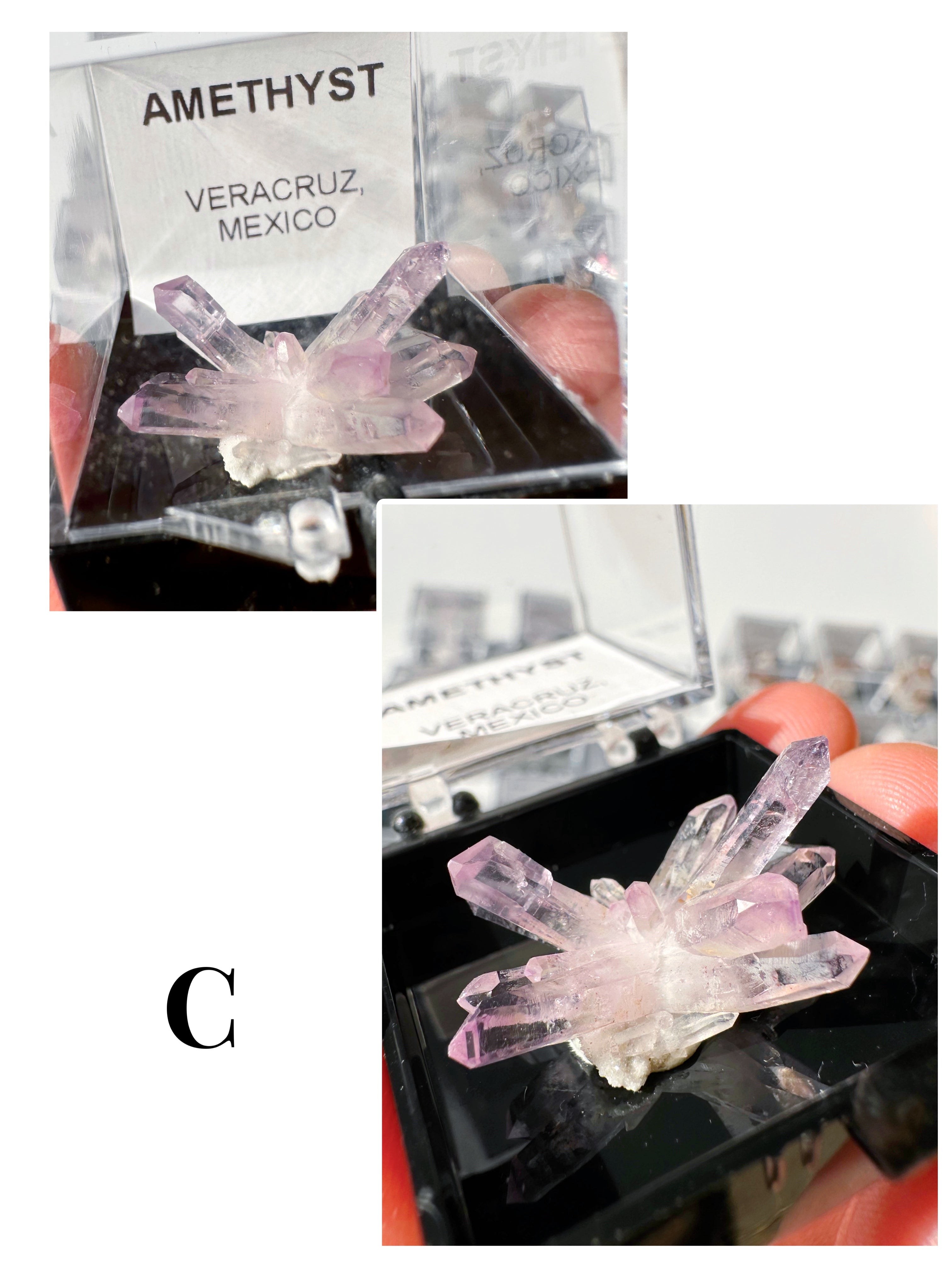 Veracruz Amethyst Thumbnails in Perky Box - Baltic Mermaid