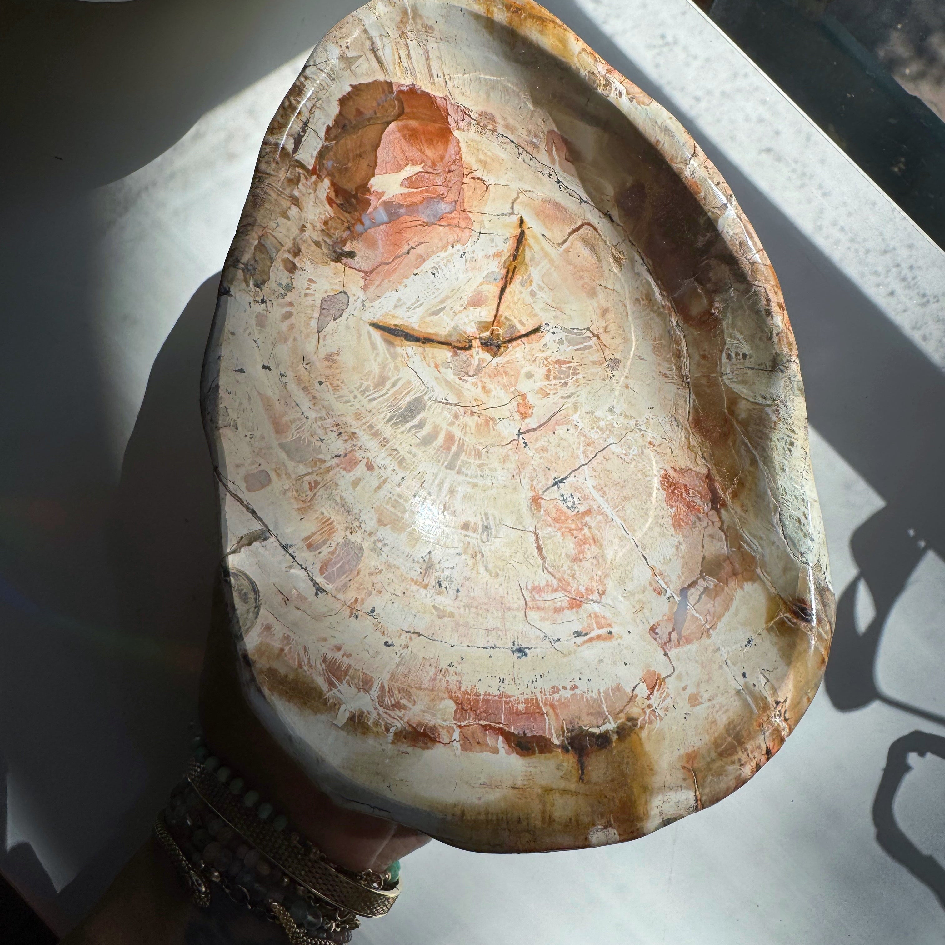 Petrified Wood Bowl Baltic Mermaid
