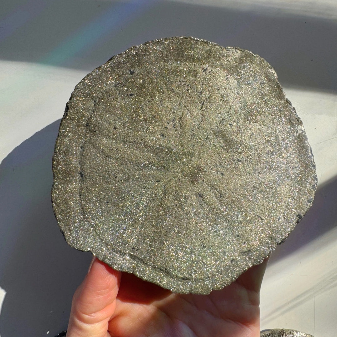 Pyrite Sun - Baltic Mermaid