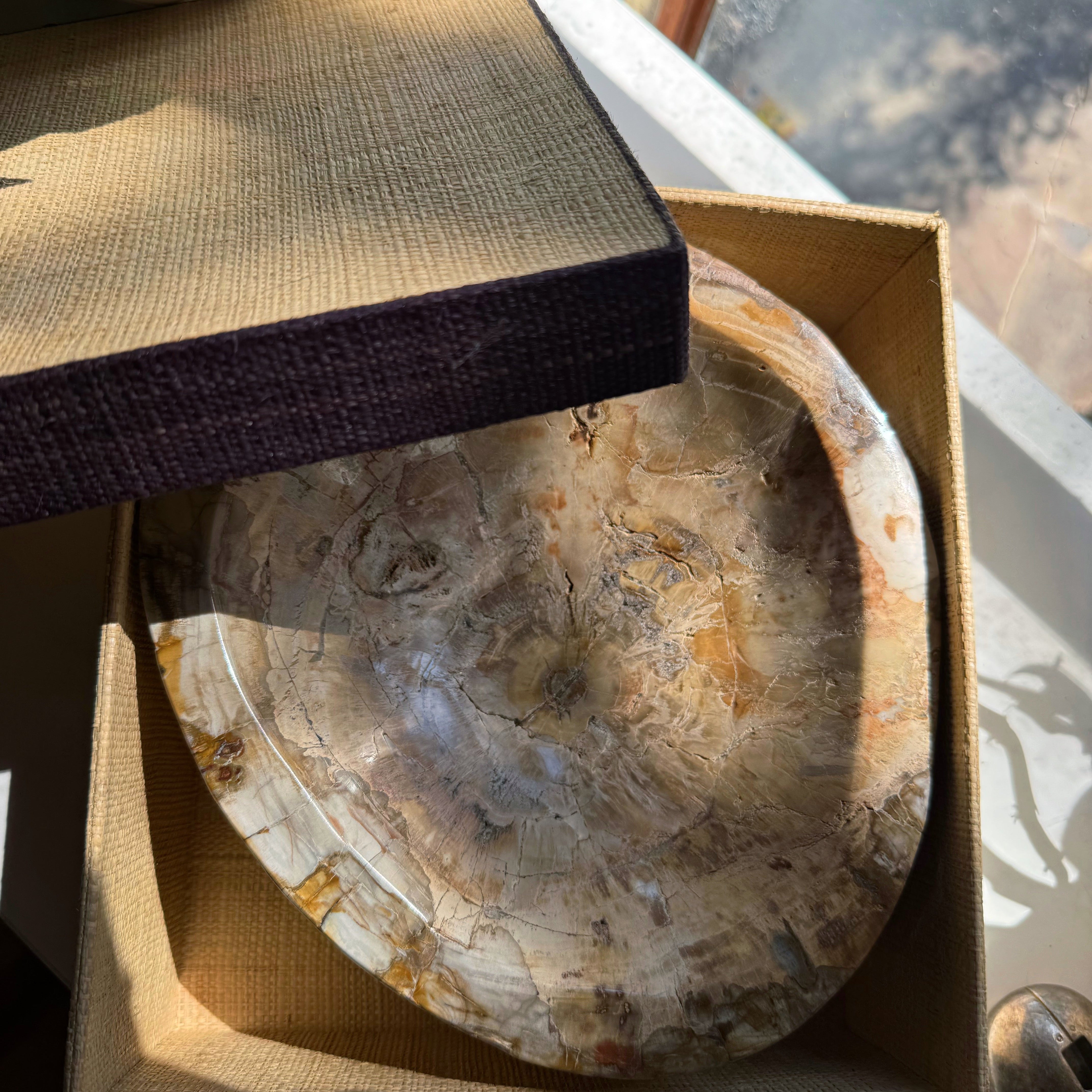 Large Petrified Wood Bowl Baltic Mermaid