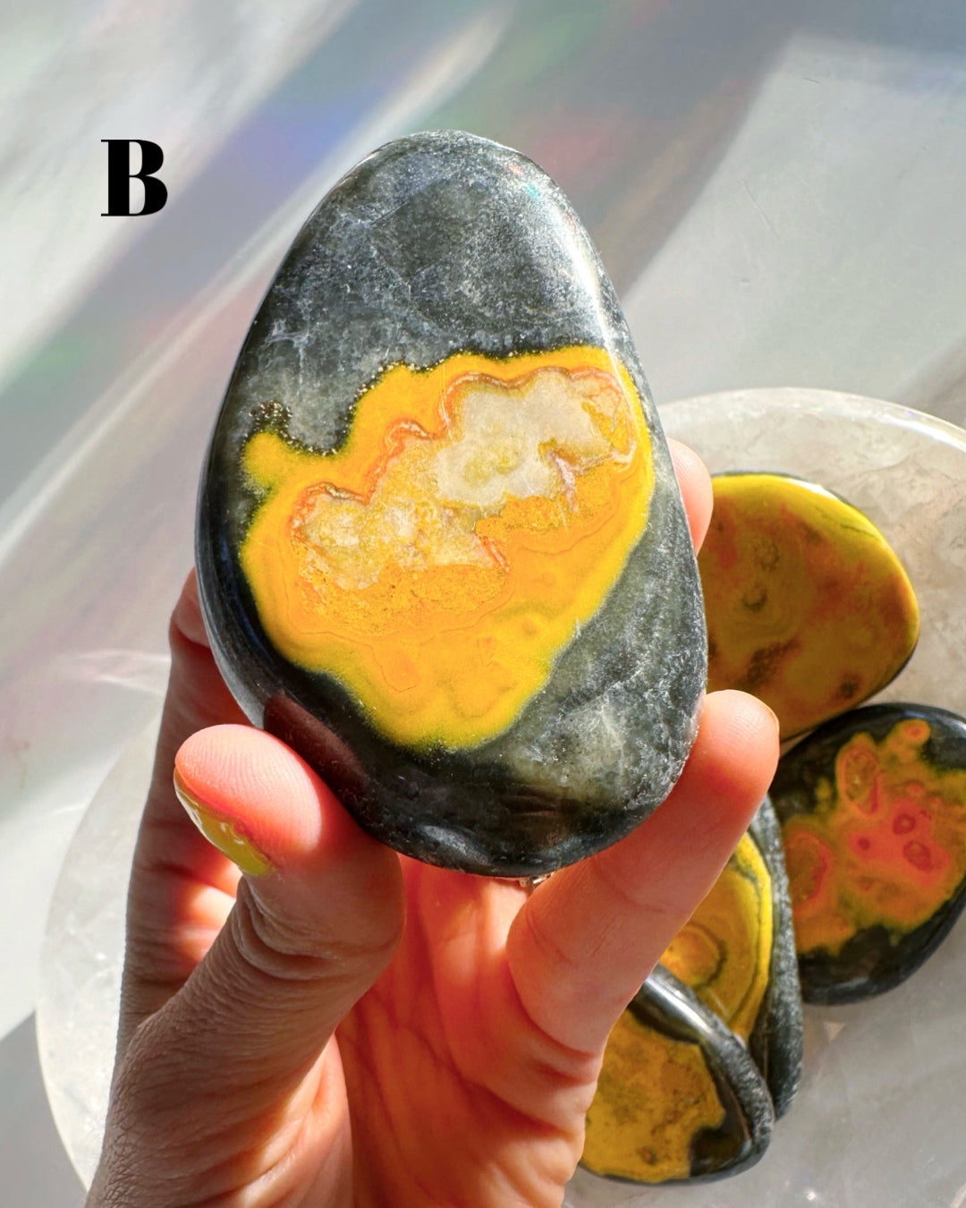 Bumblebee Jasper Palm Stones - Baltic Mermaid